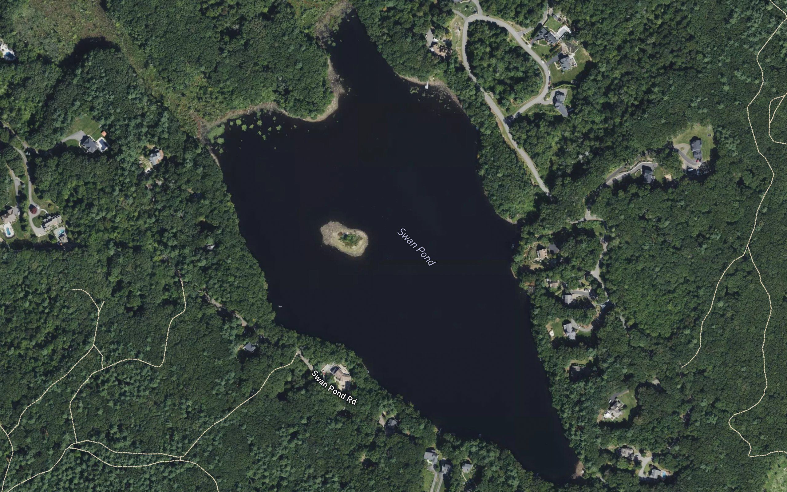 Swan Pond