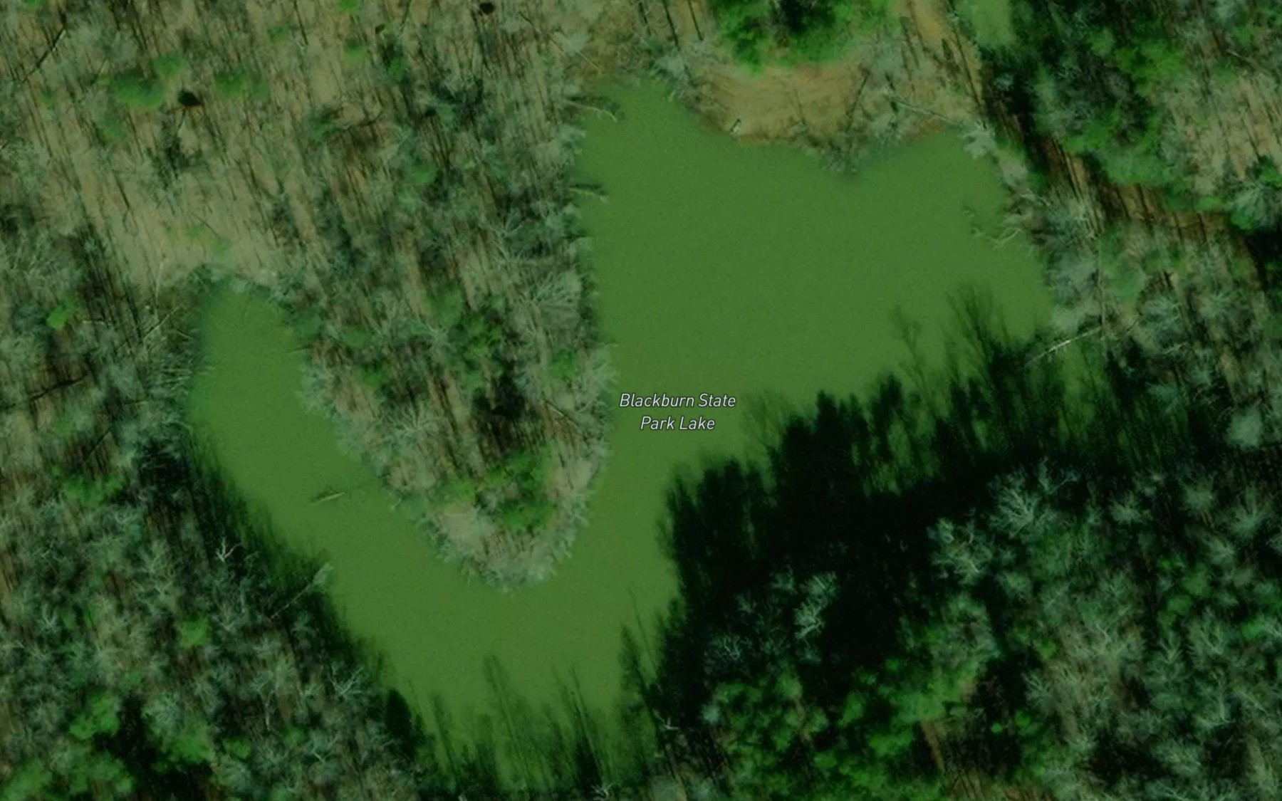Satellite map of the Blackburn State Park Lake