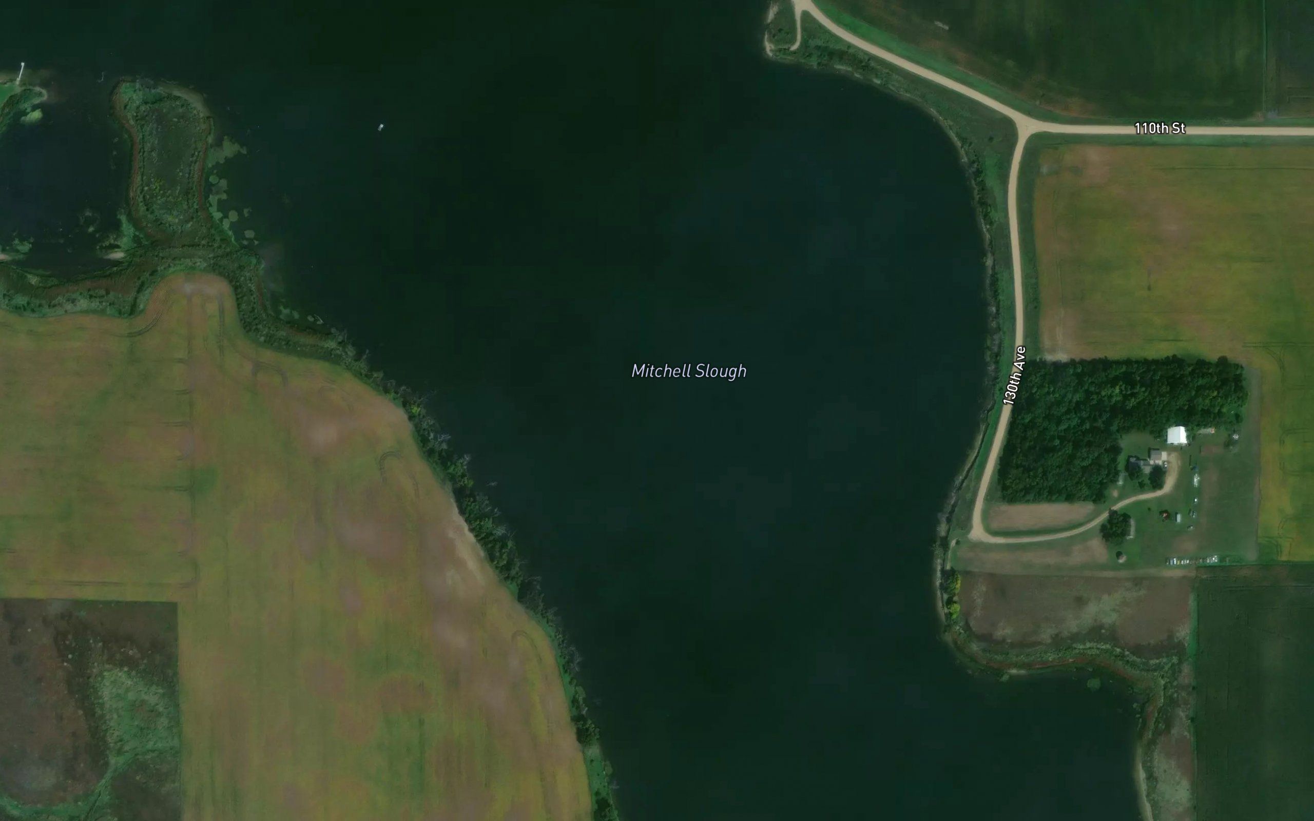 Mitchell Slough