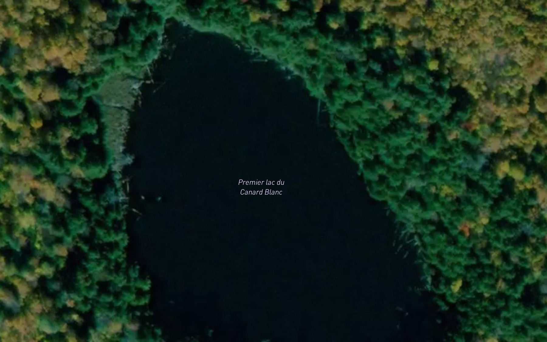 Satellite map of the Premier lac du Canard Blanc