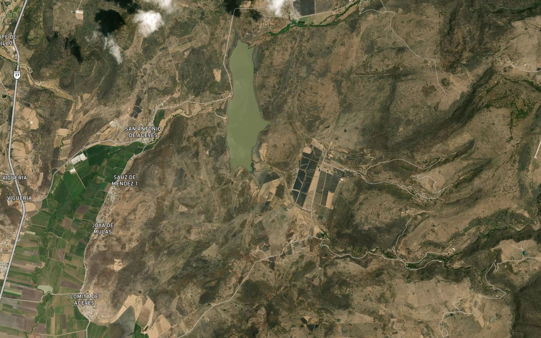 Satellite map of the El Sauz de Mendez