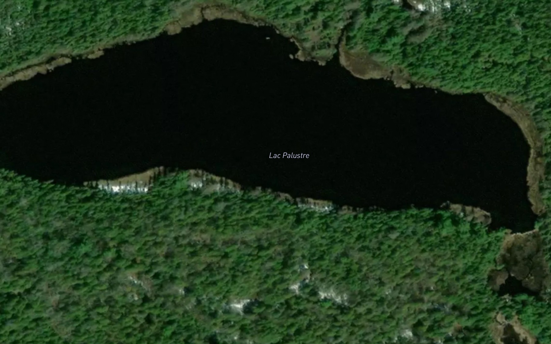 Satellite map of the Lac Palustre