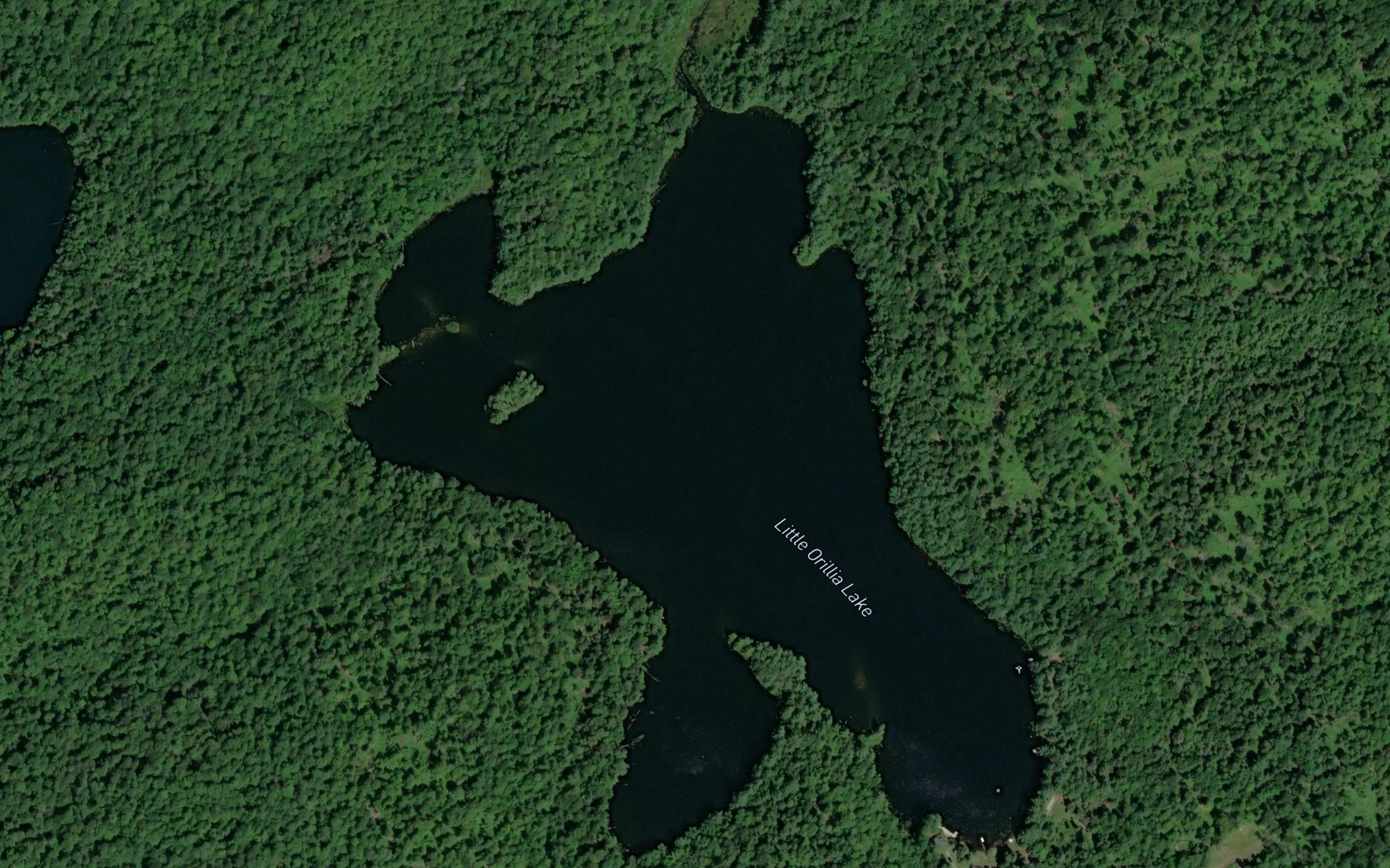 Satellite map of the Little Orillia Lake