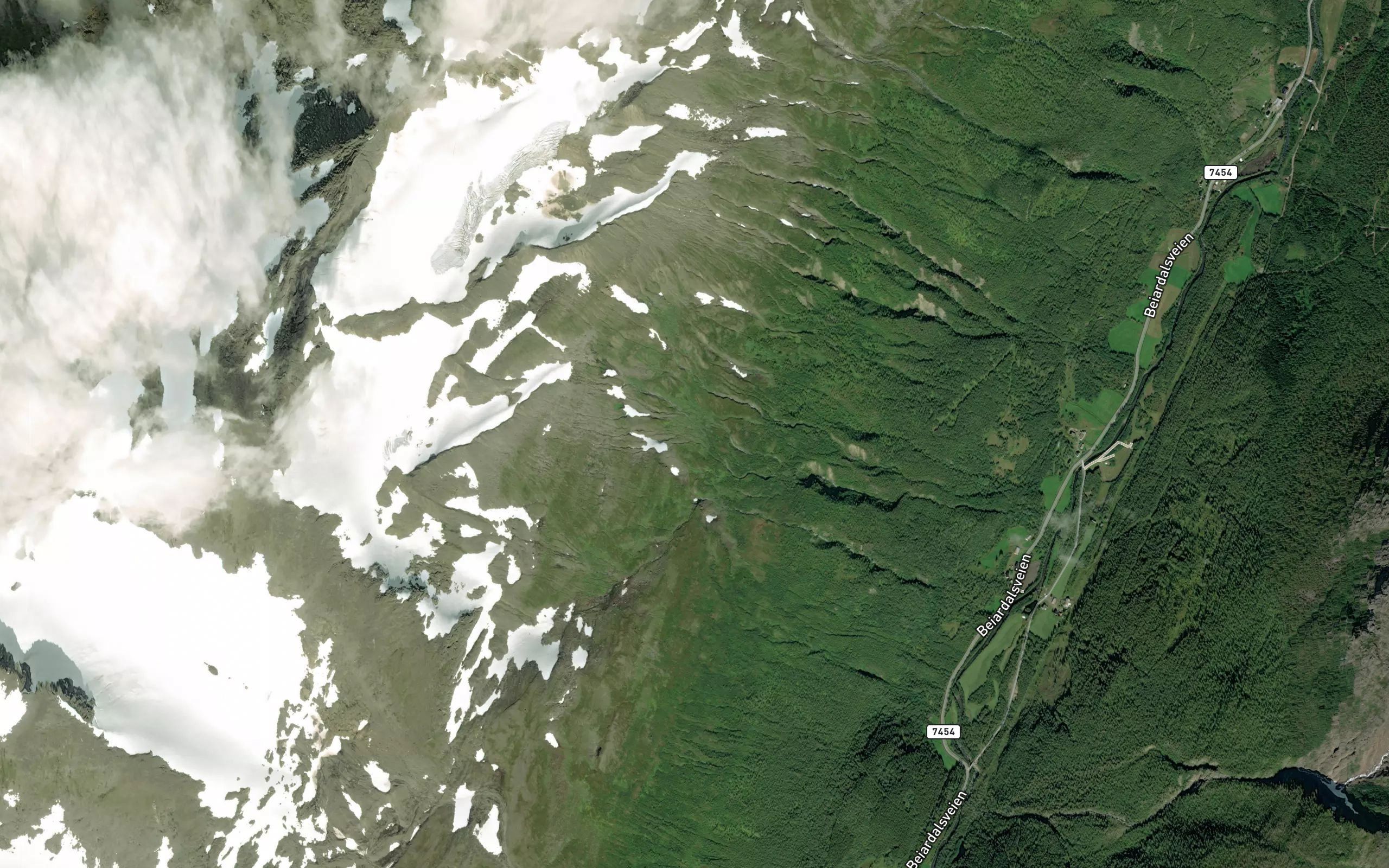 Kvannkjeldene
