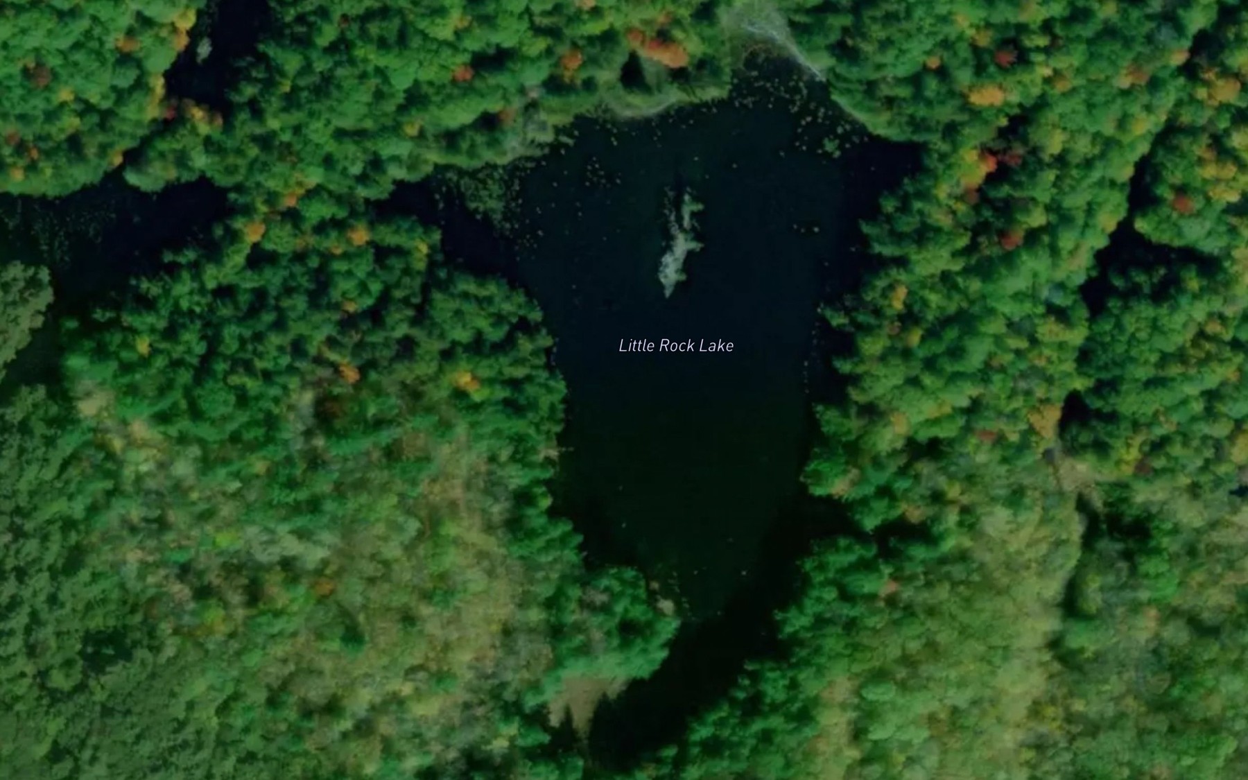 Satellite map of the Little Rock Lake