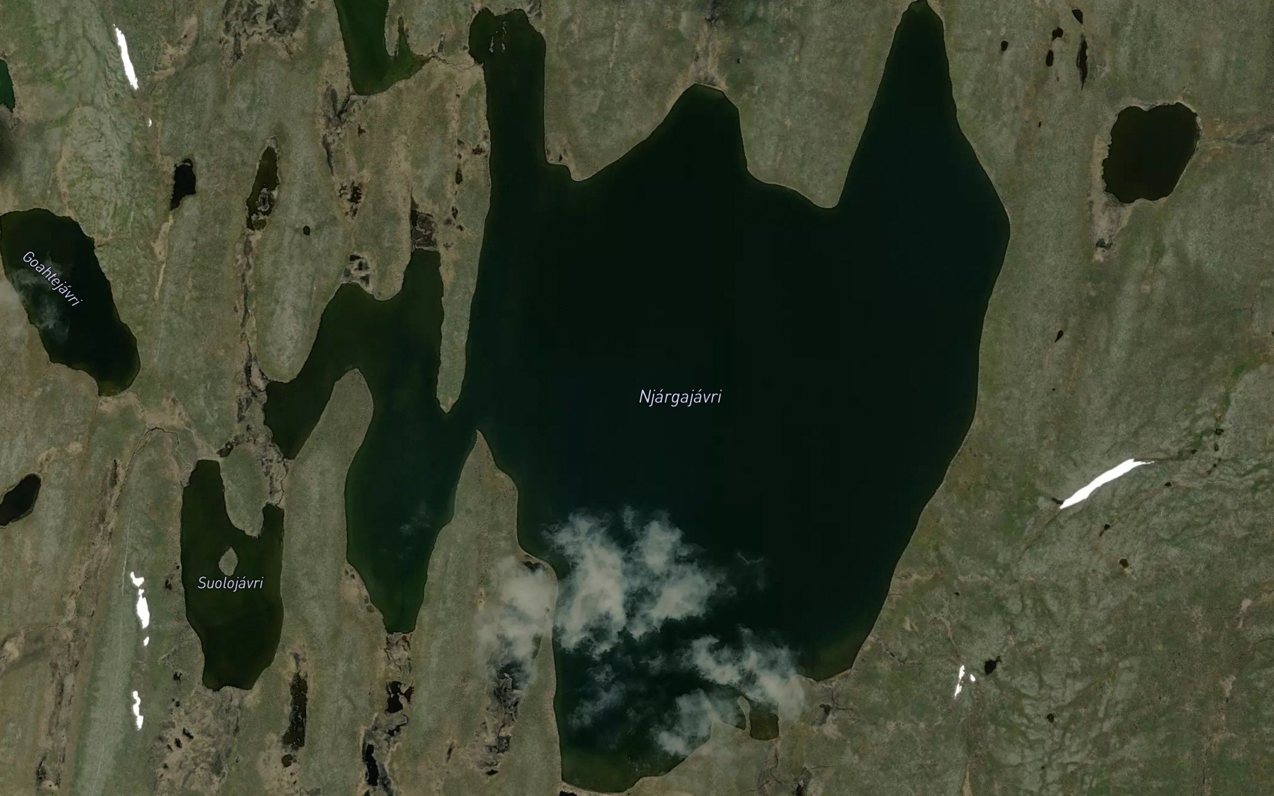 Njargajavri