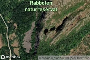 Rabbortjornane