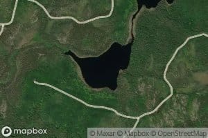 Lac Clover