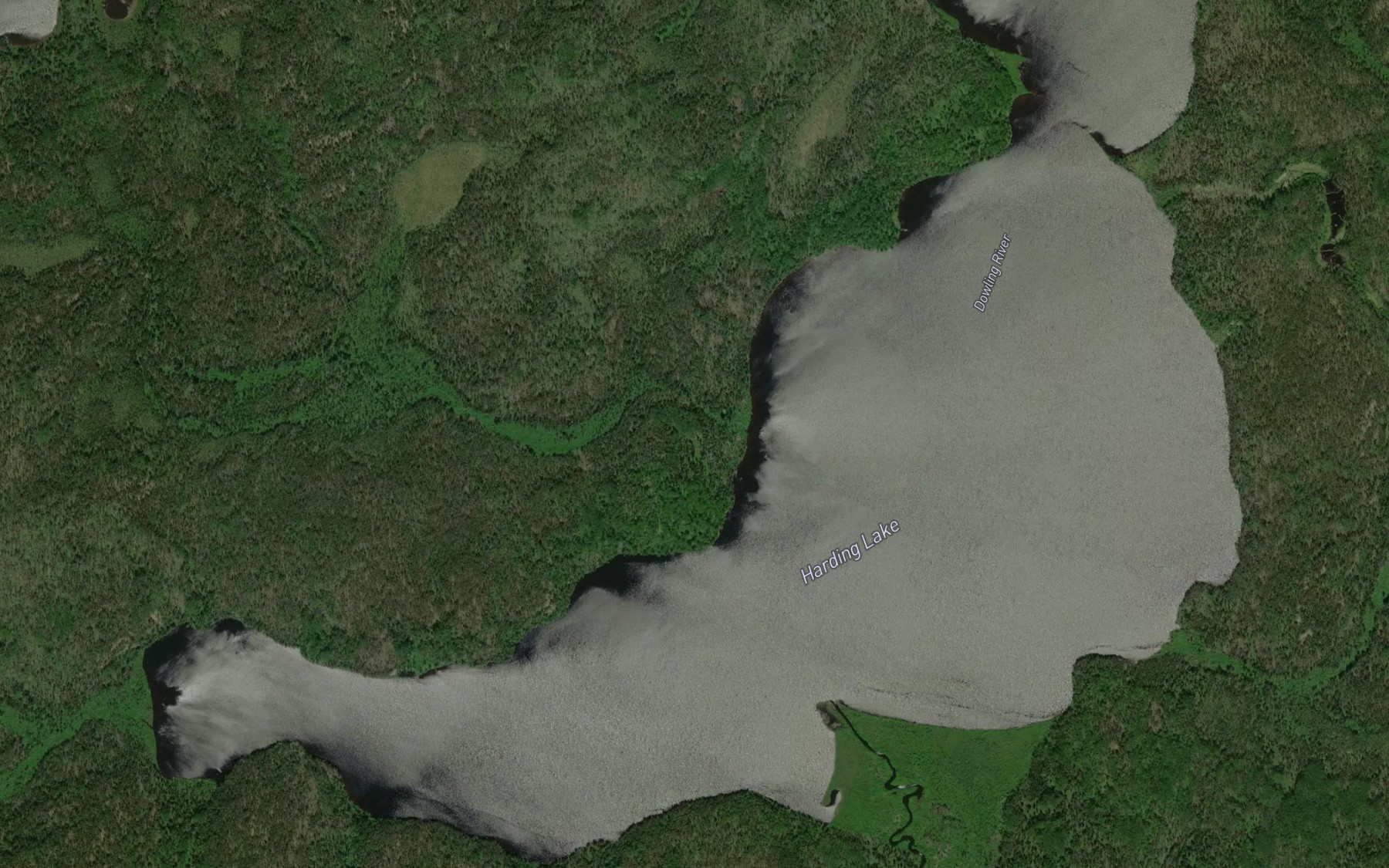 Satellite map of the Harding Lake