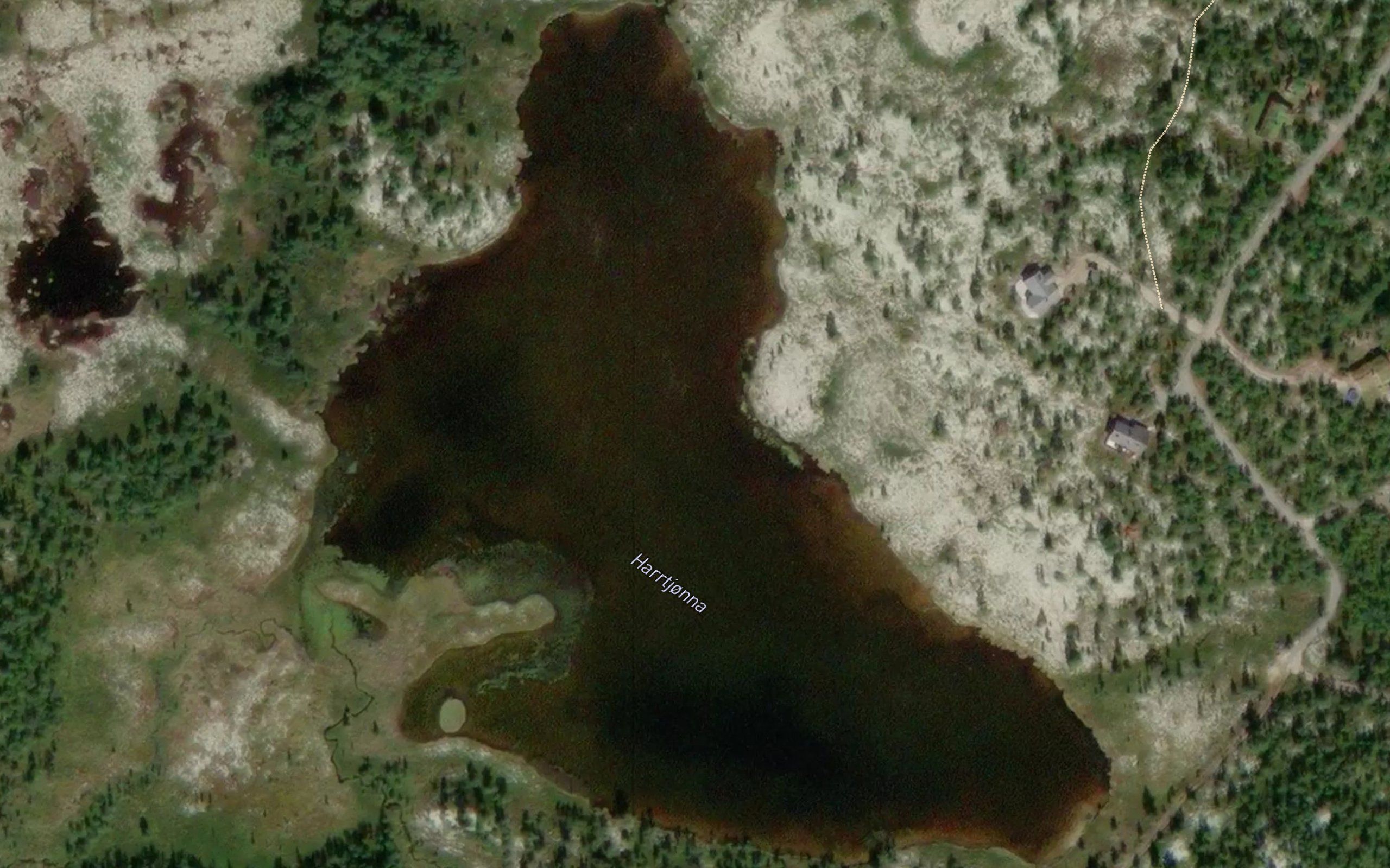 Harrtjorna