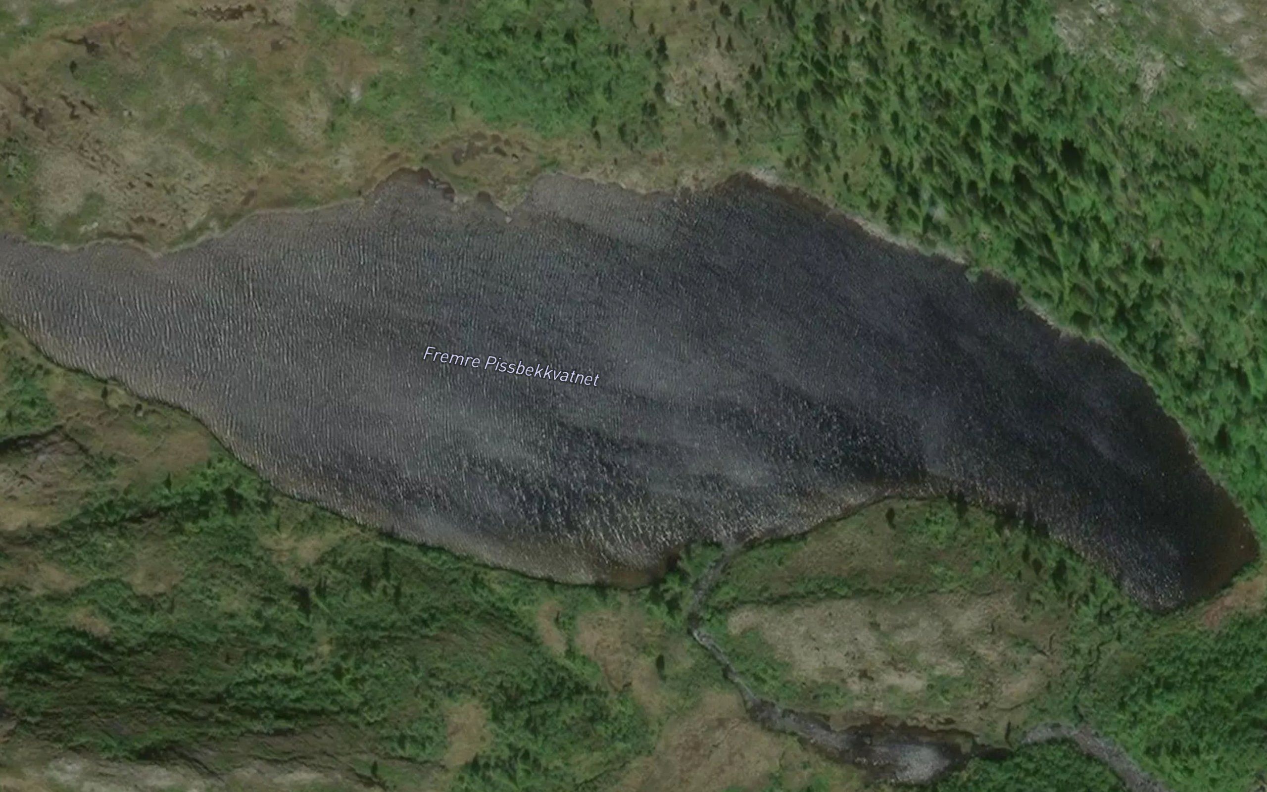 Pissbekkvatnet,nedre