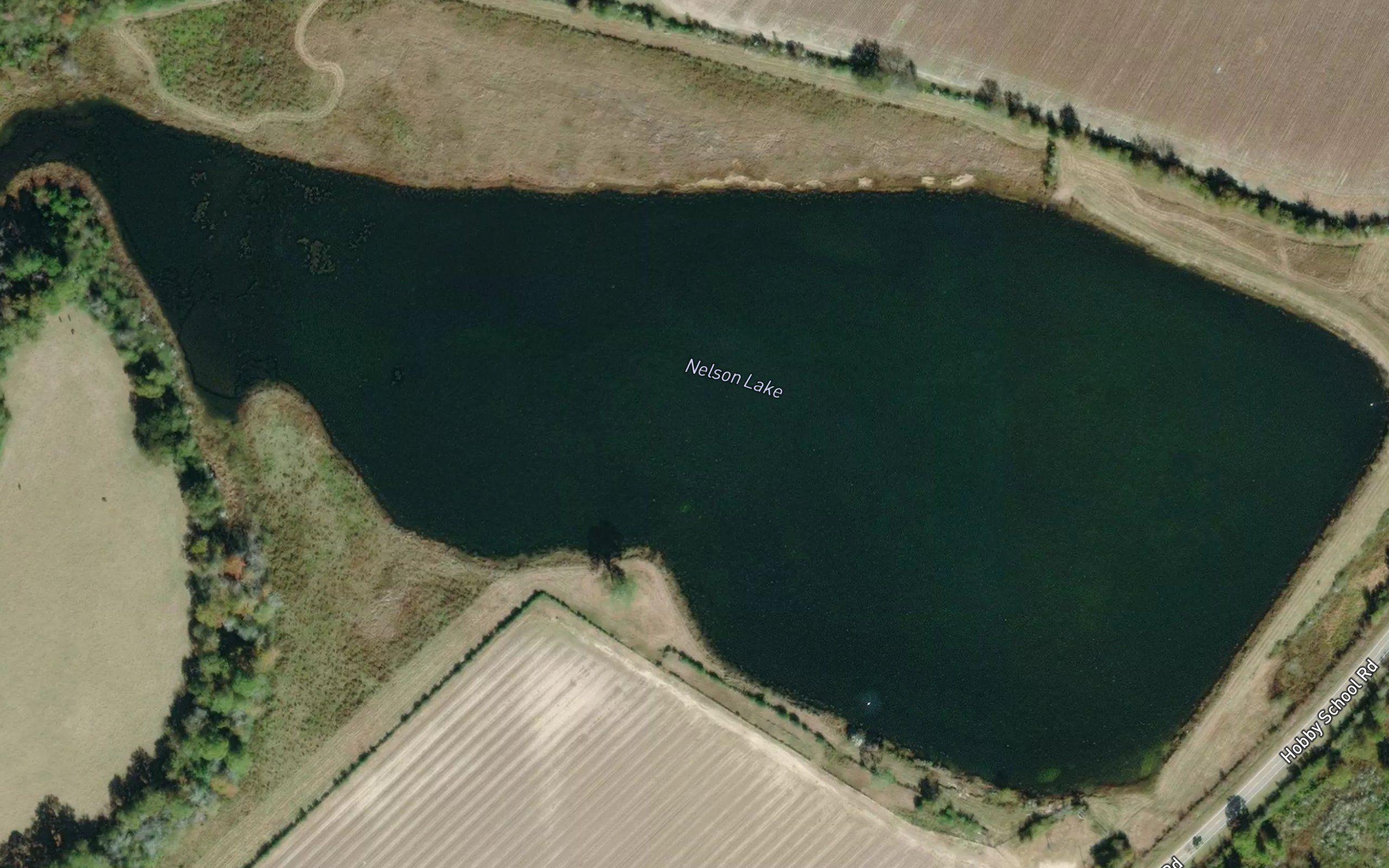 Nelson Lake