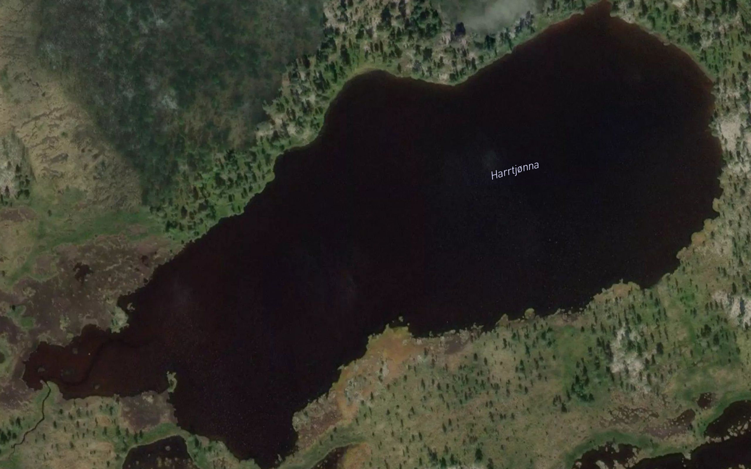 Harrtjorna