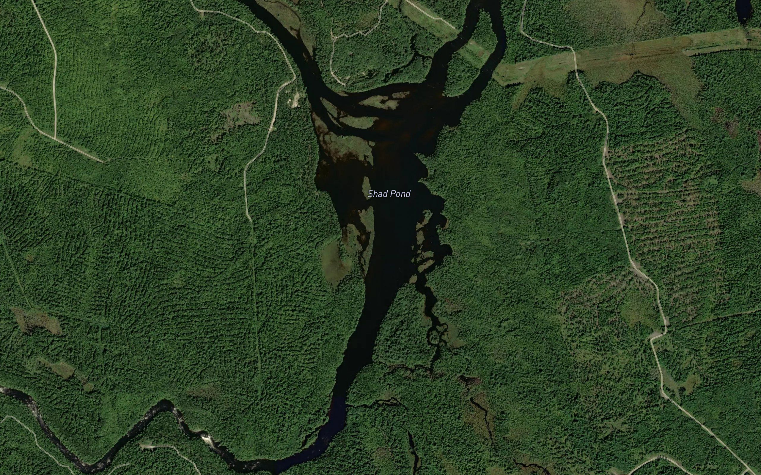 Shad Pond