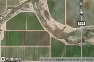 Wistaria Lateral Eight