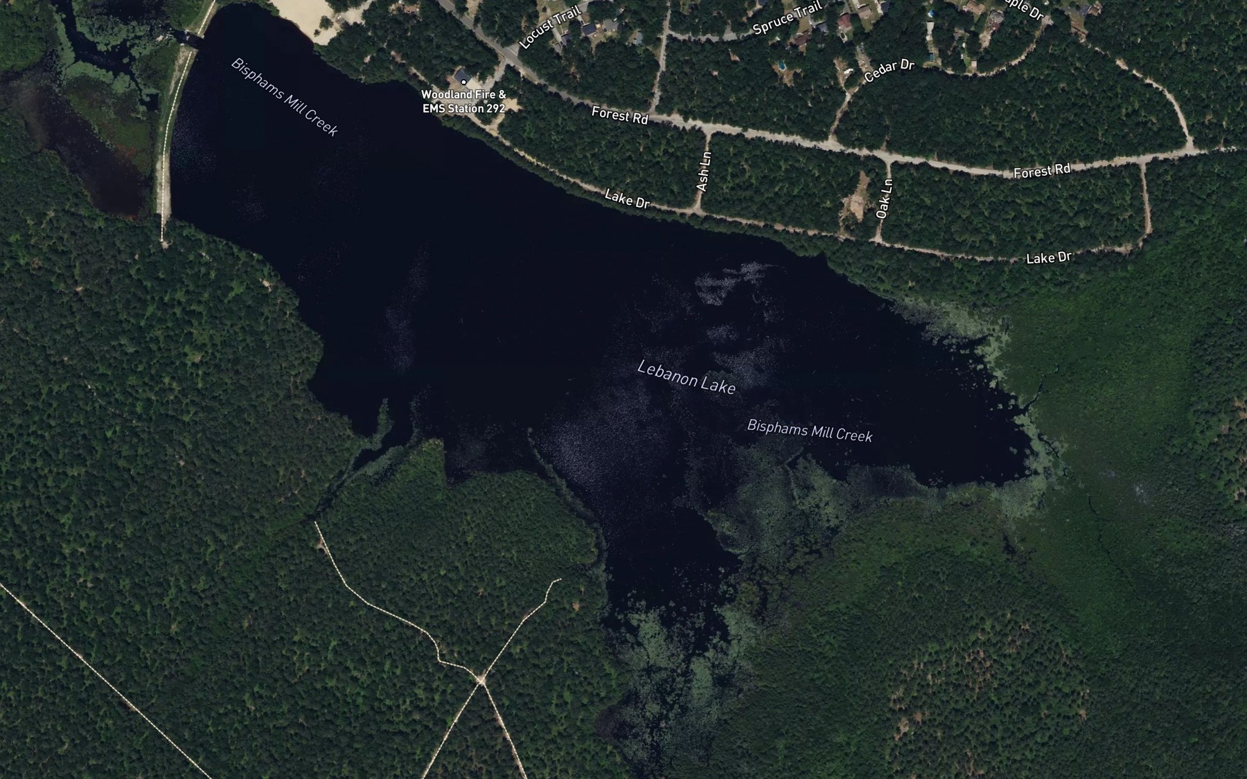 Satellite map of the Lebanon Lake