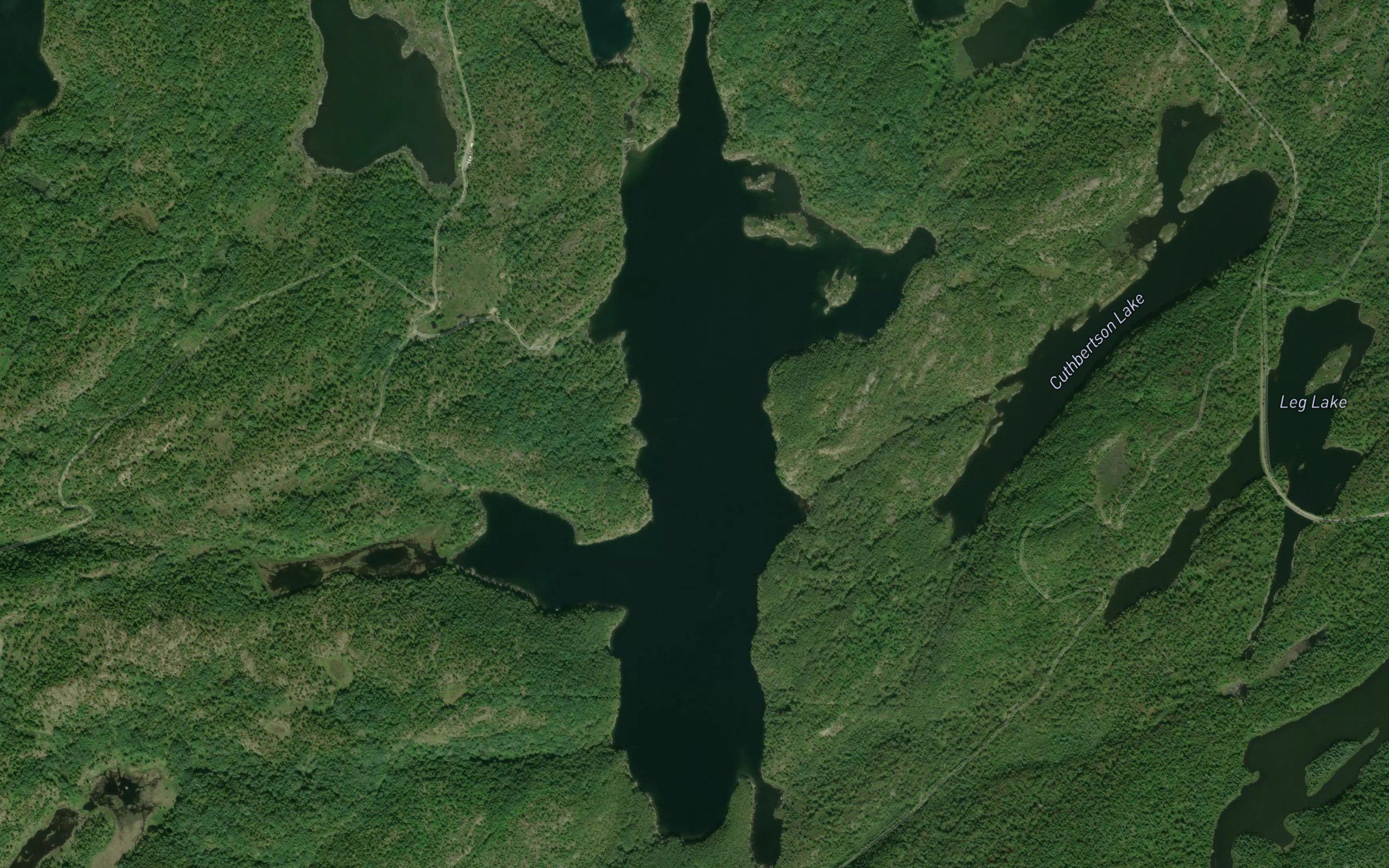 Scott Lake