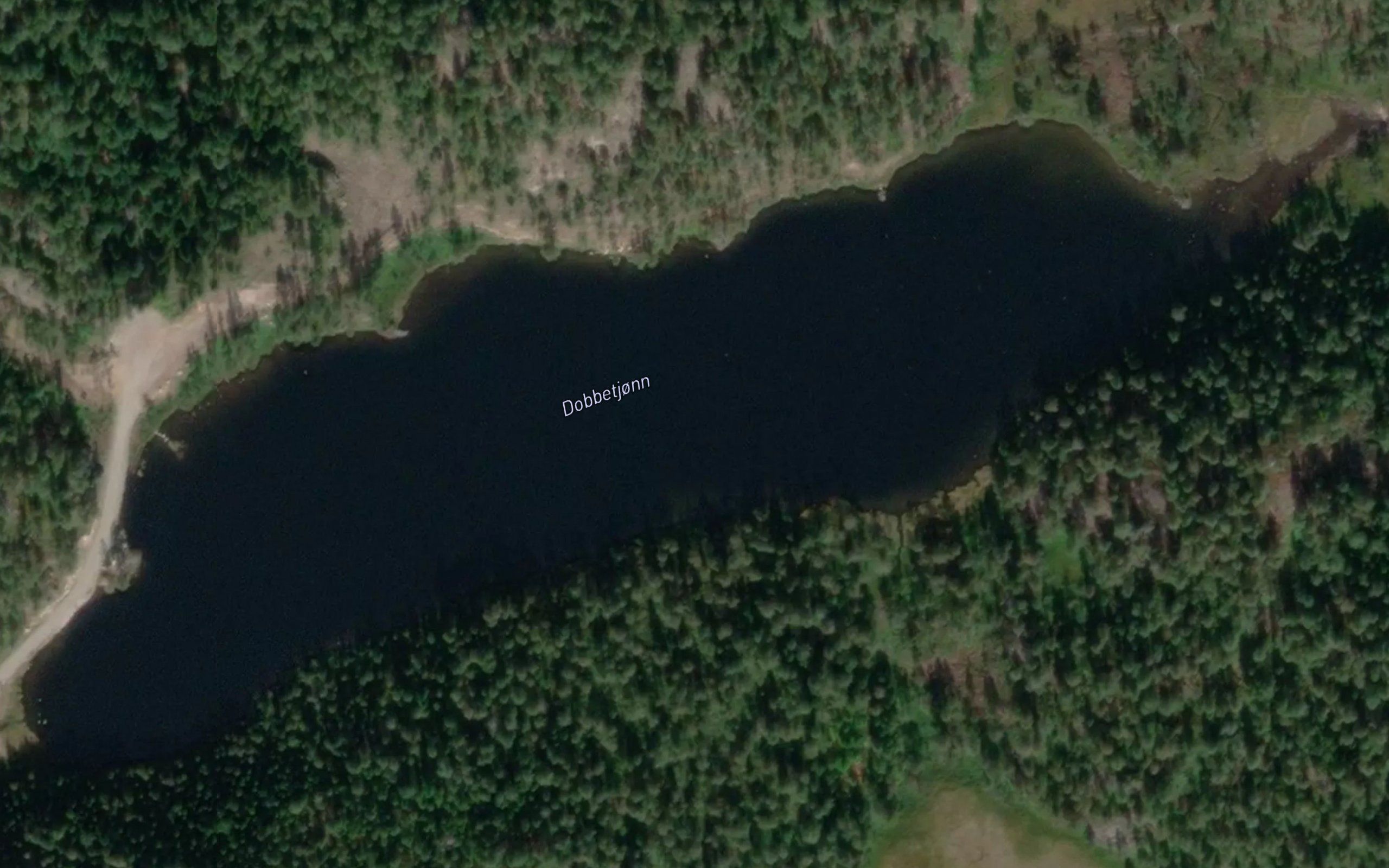Dobbetjorn