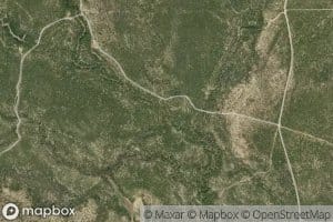 Olmos Creek