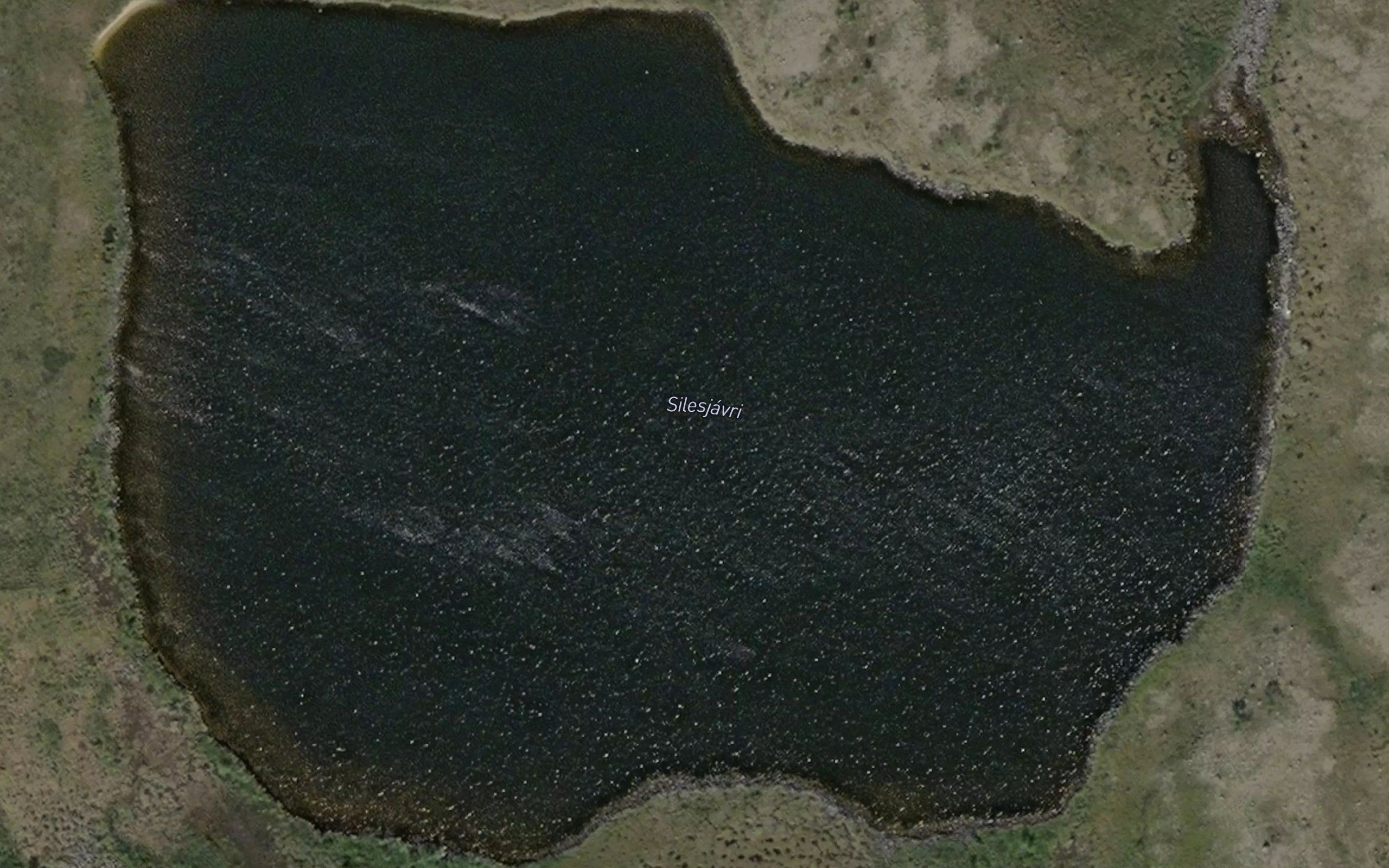 Silesjavri