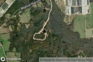 Magahee Ponds