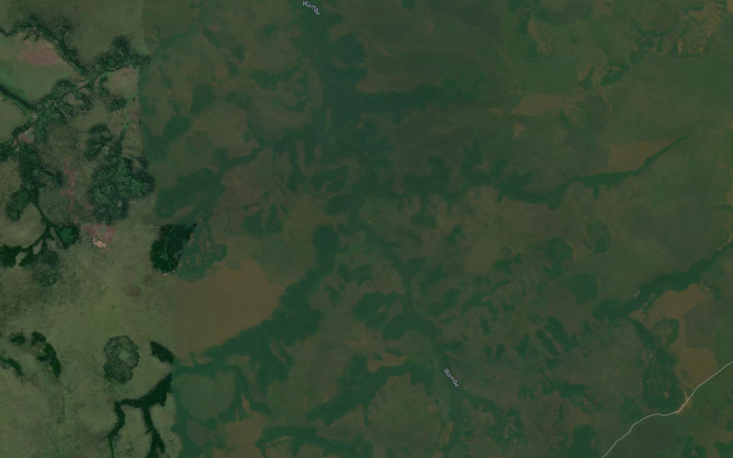 Muntemba