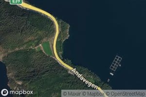 Verpingsvika