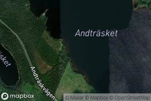 Andtrasket