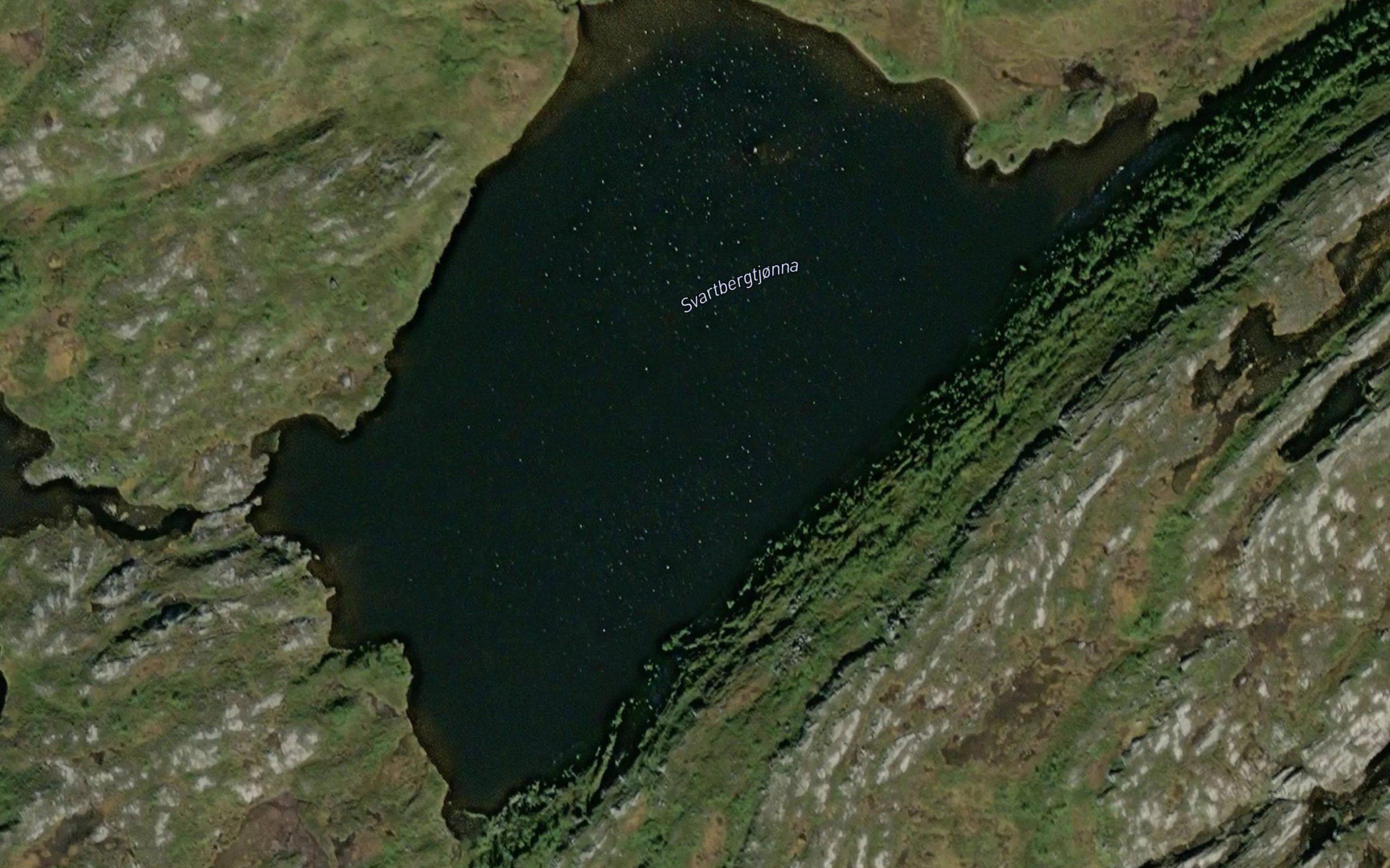 Svartbergtjorna