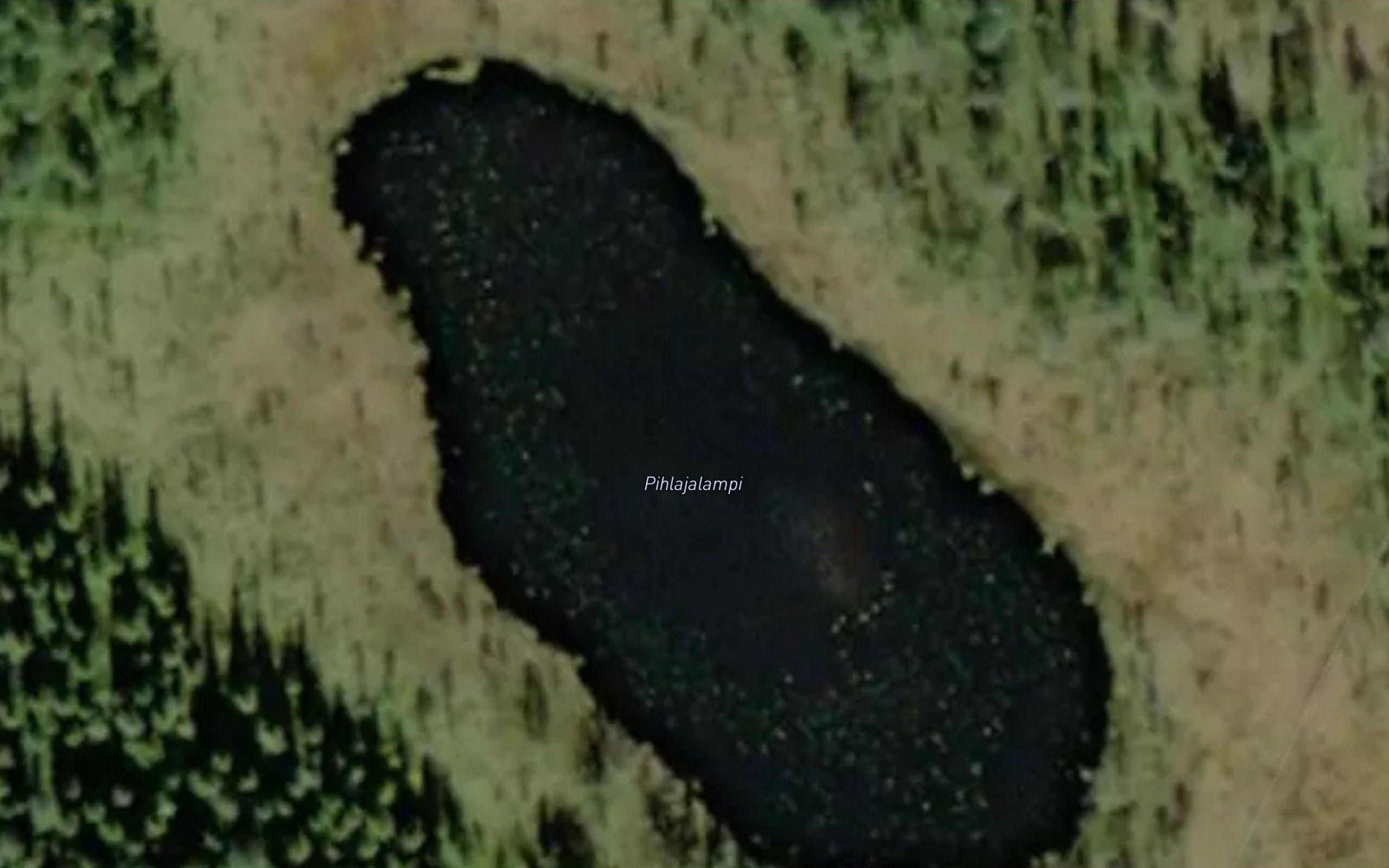 Pihlajalampi