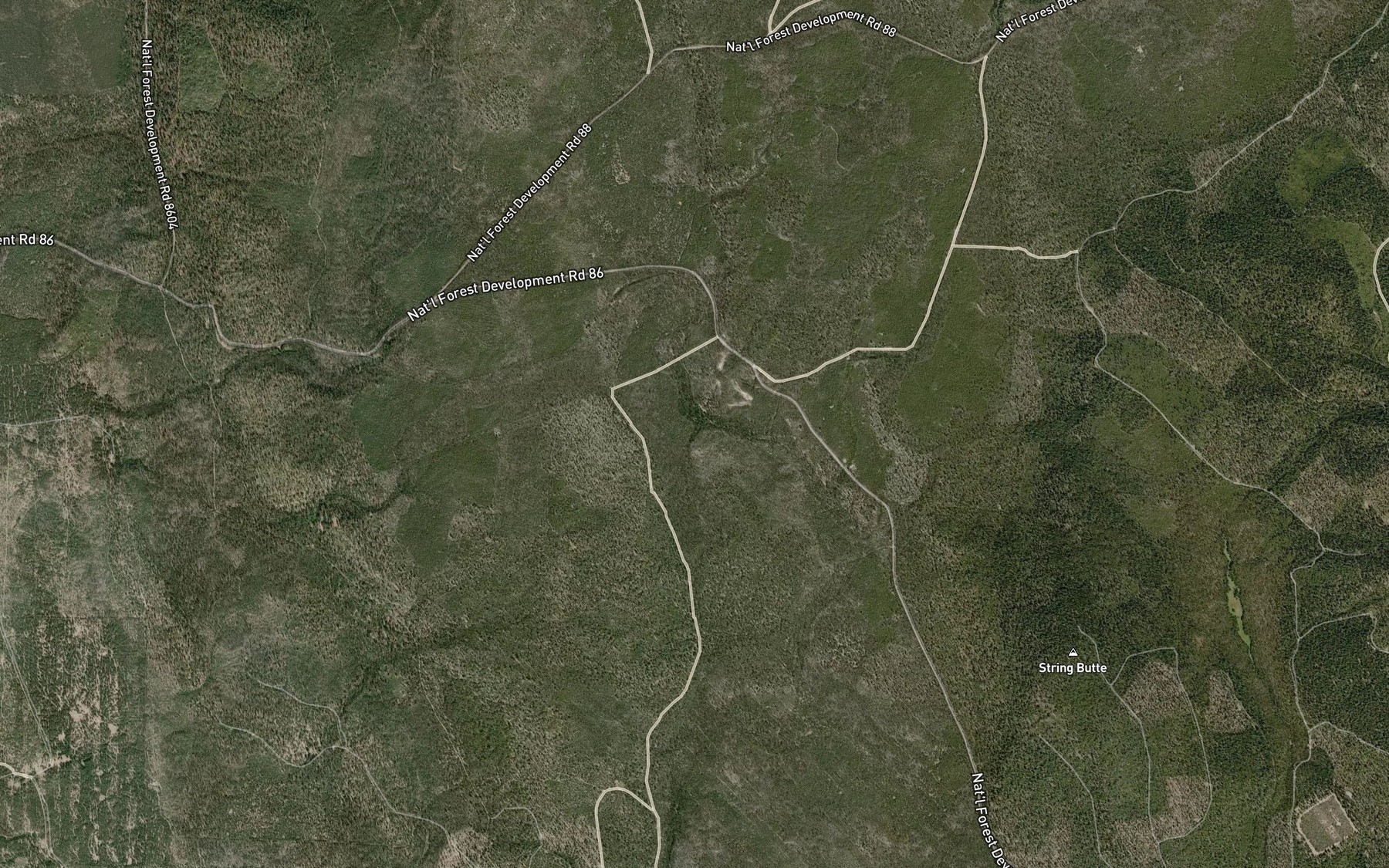 Satellite map of the Shoestring Spring