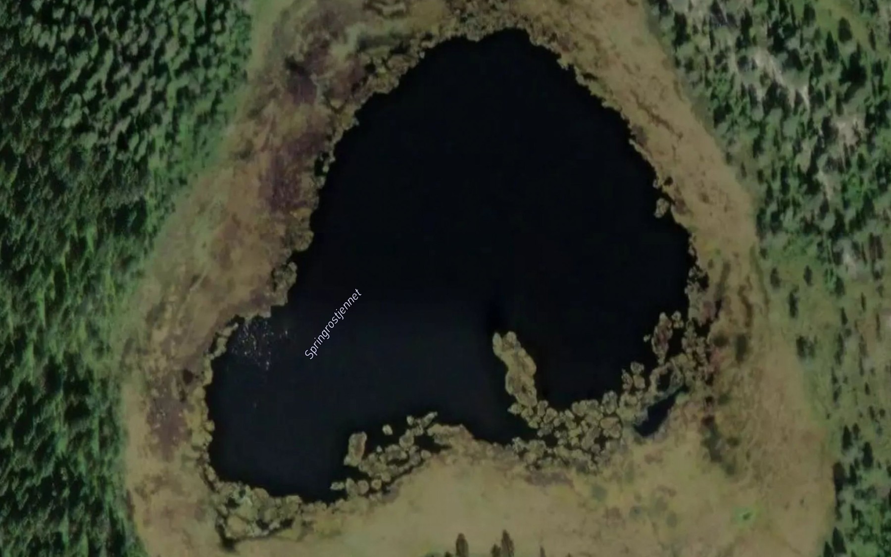 Satellite map of the Springrostjennet
