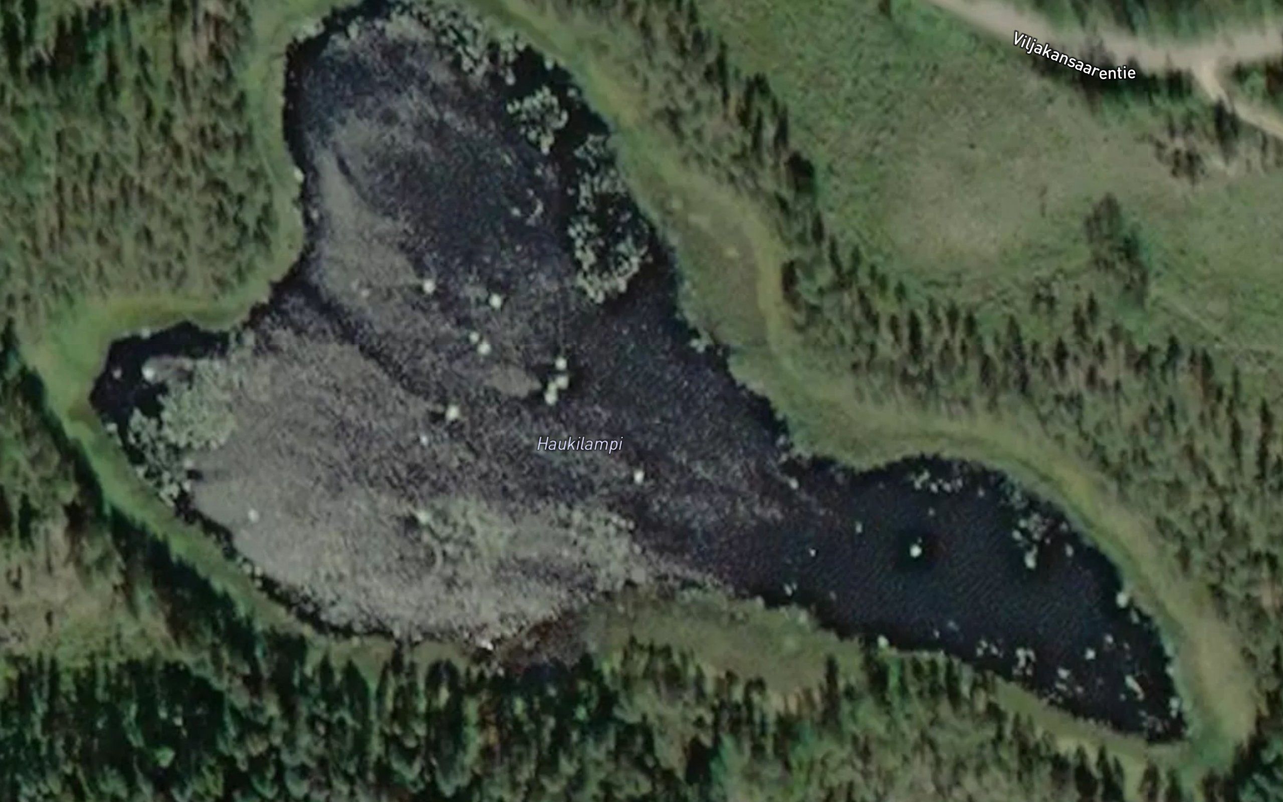 Haukilampi
