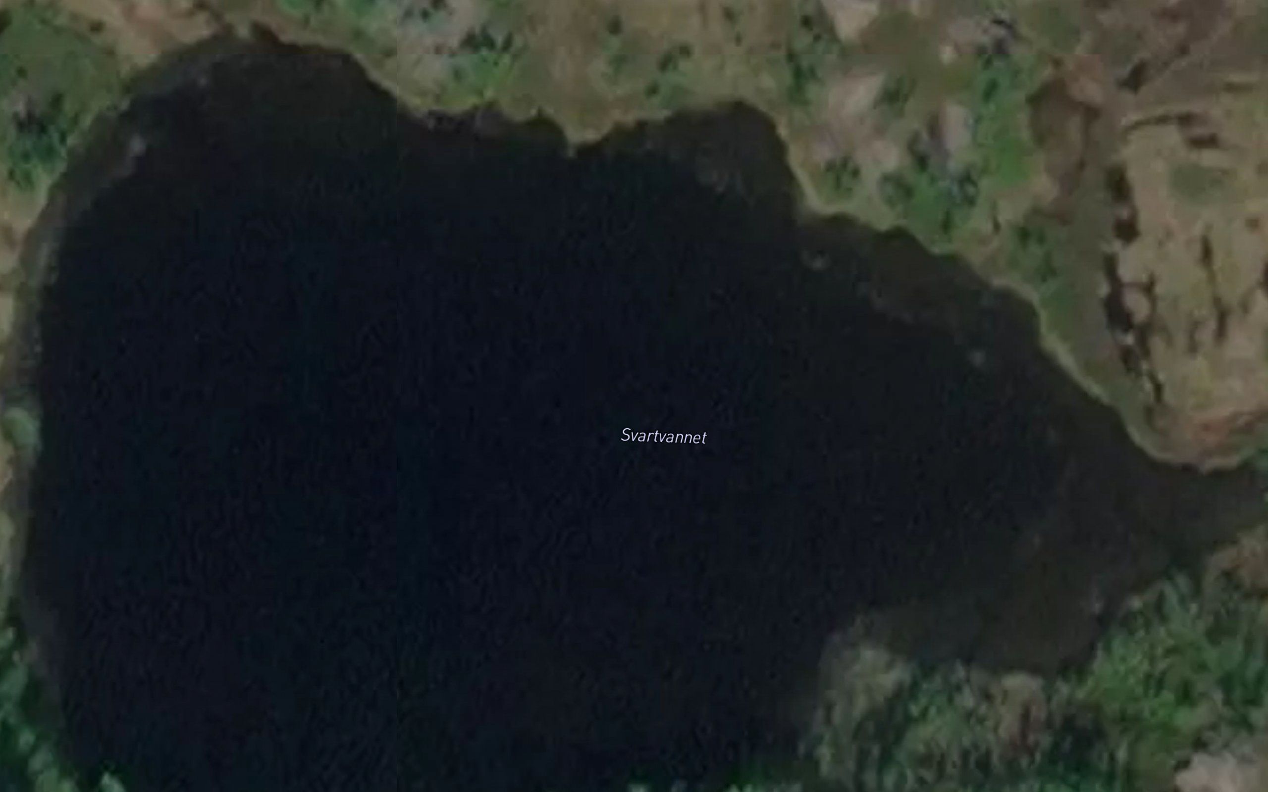 Svartvannet