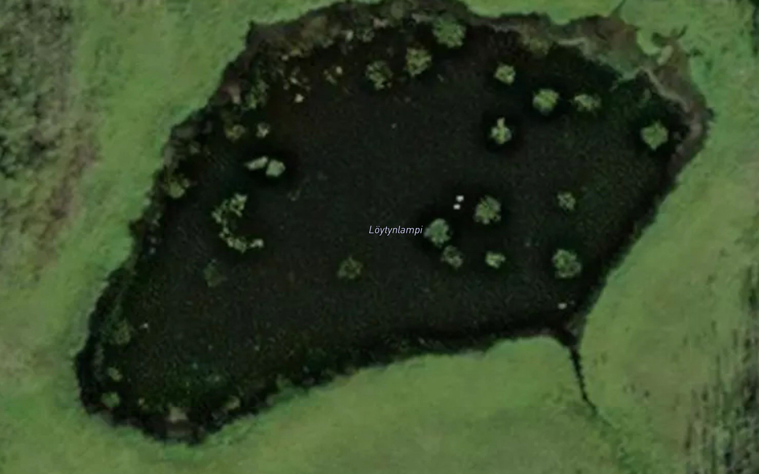 Loytylampi