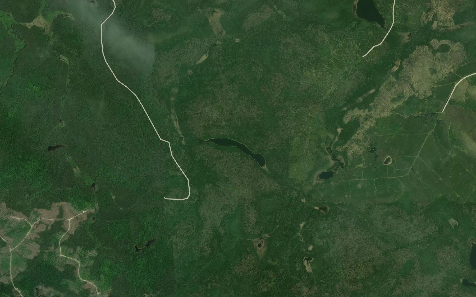 Satellite map of the Little Pichogen Lake