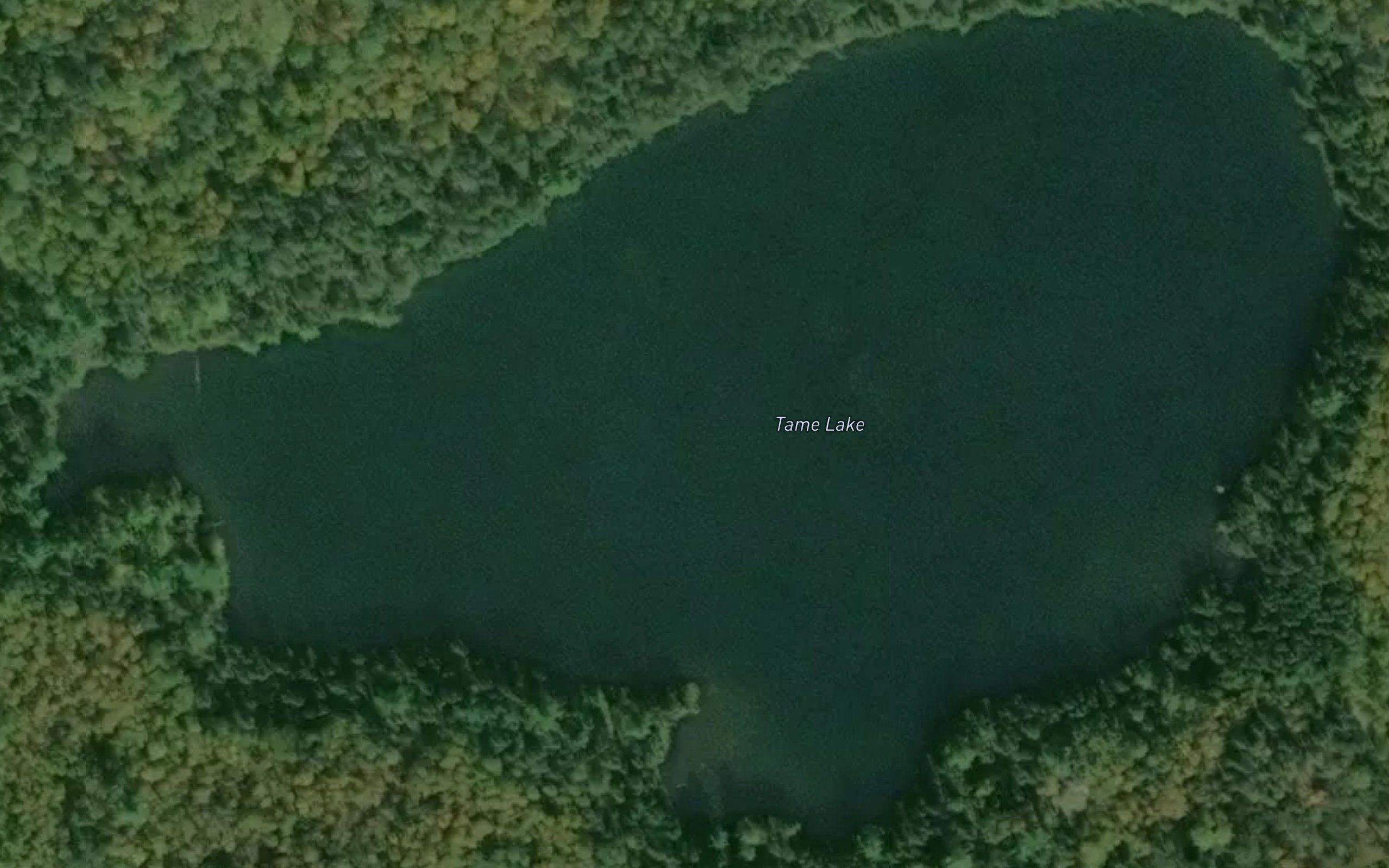 Tame Lake