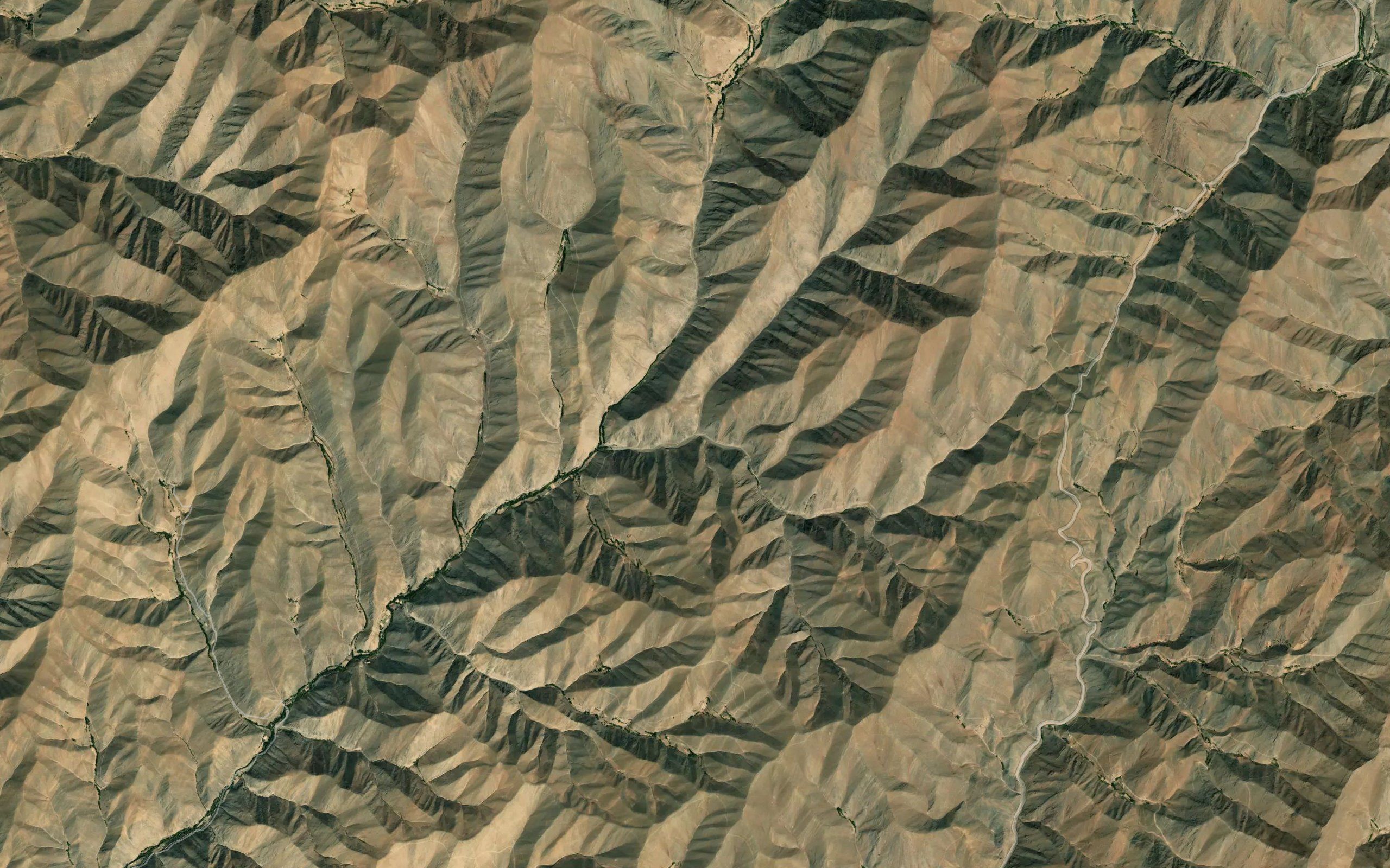 Qarghoy
