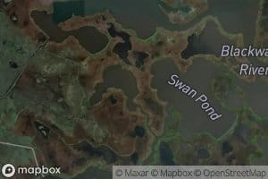 Lans Pond