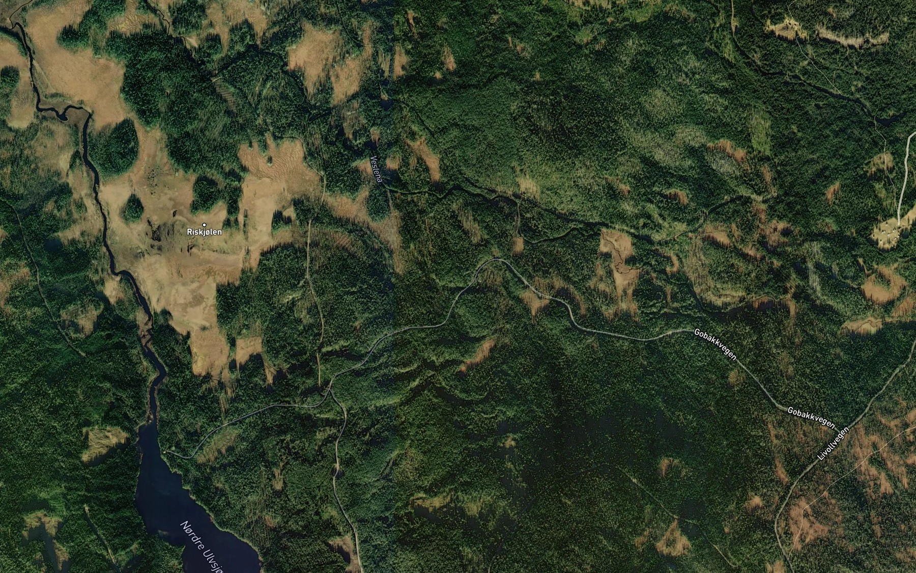 Satellite map of the Torasbekken