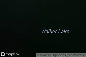Walker Lake