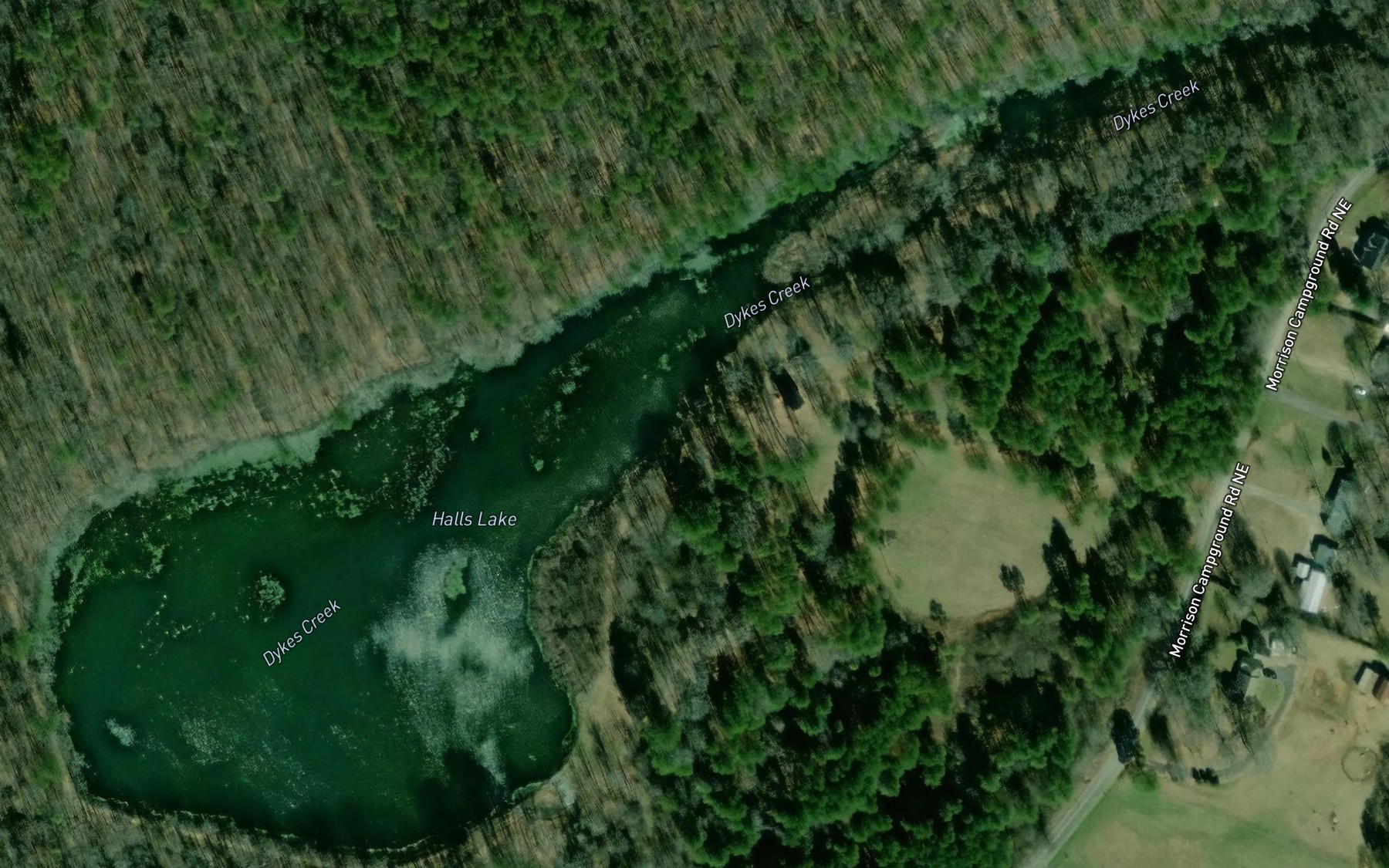 Satellite map of the Halls Lake