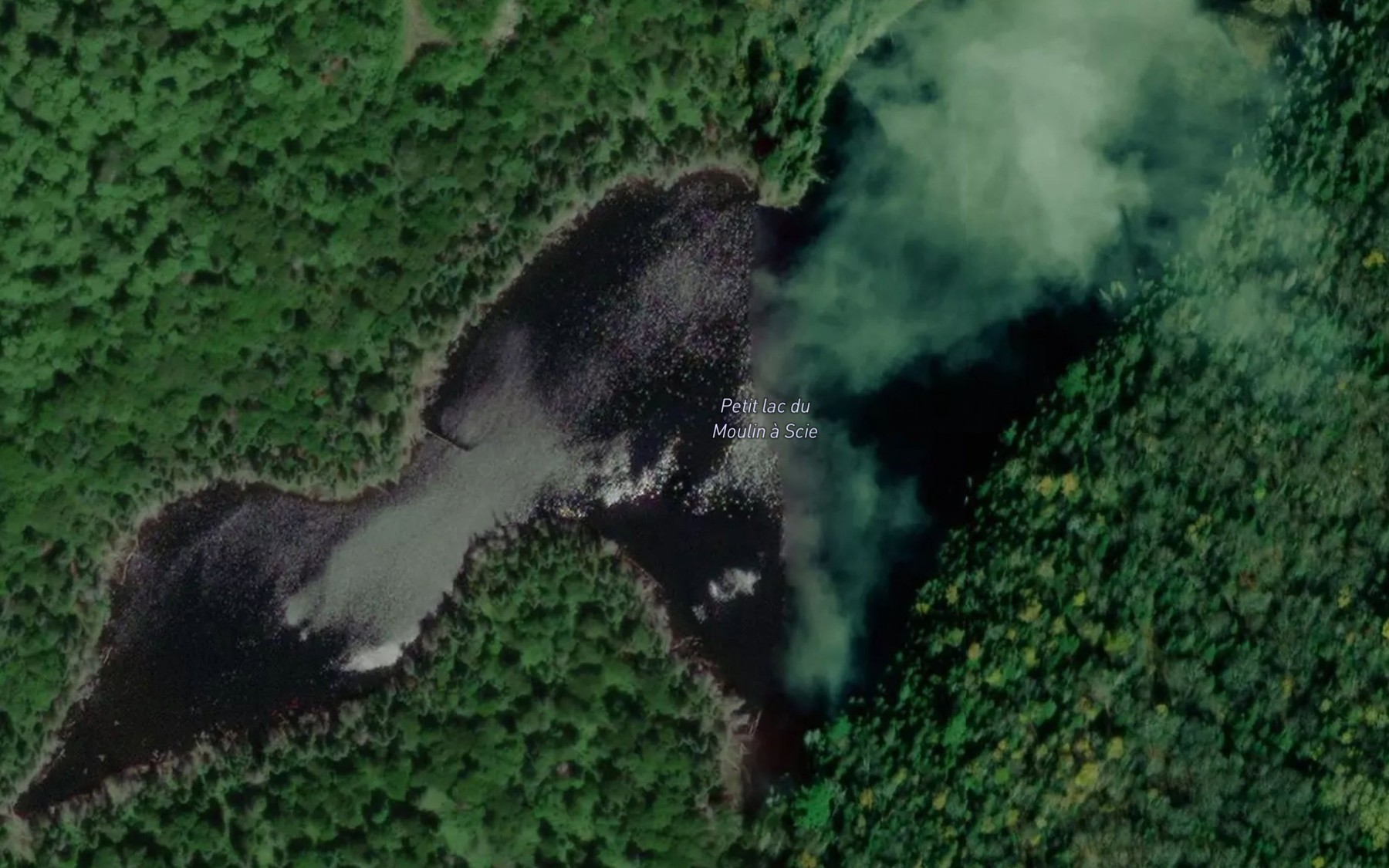 Satellite map of the Petit lac du Moulin a Scie