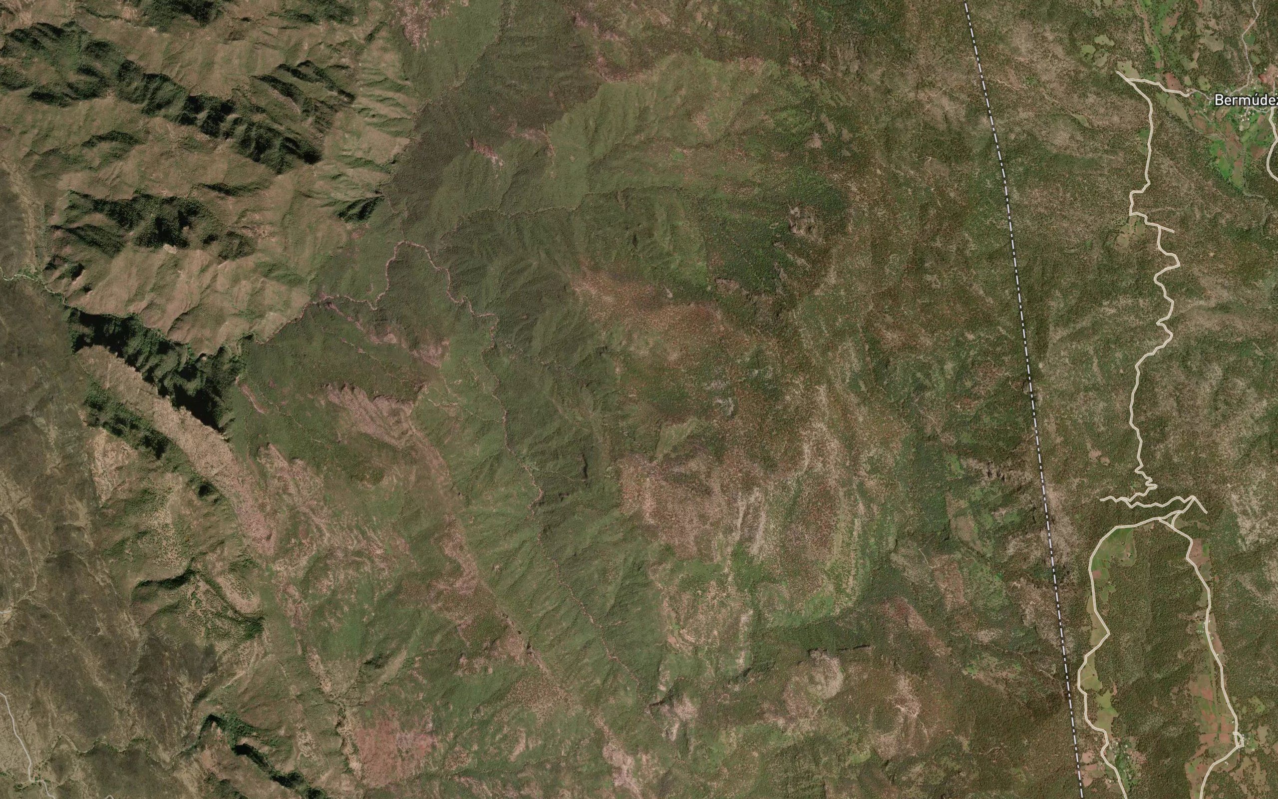 Barranca Palo Parado