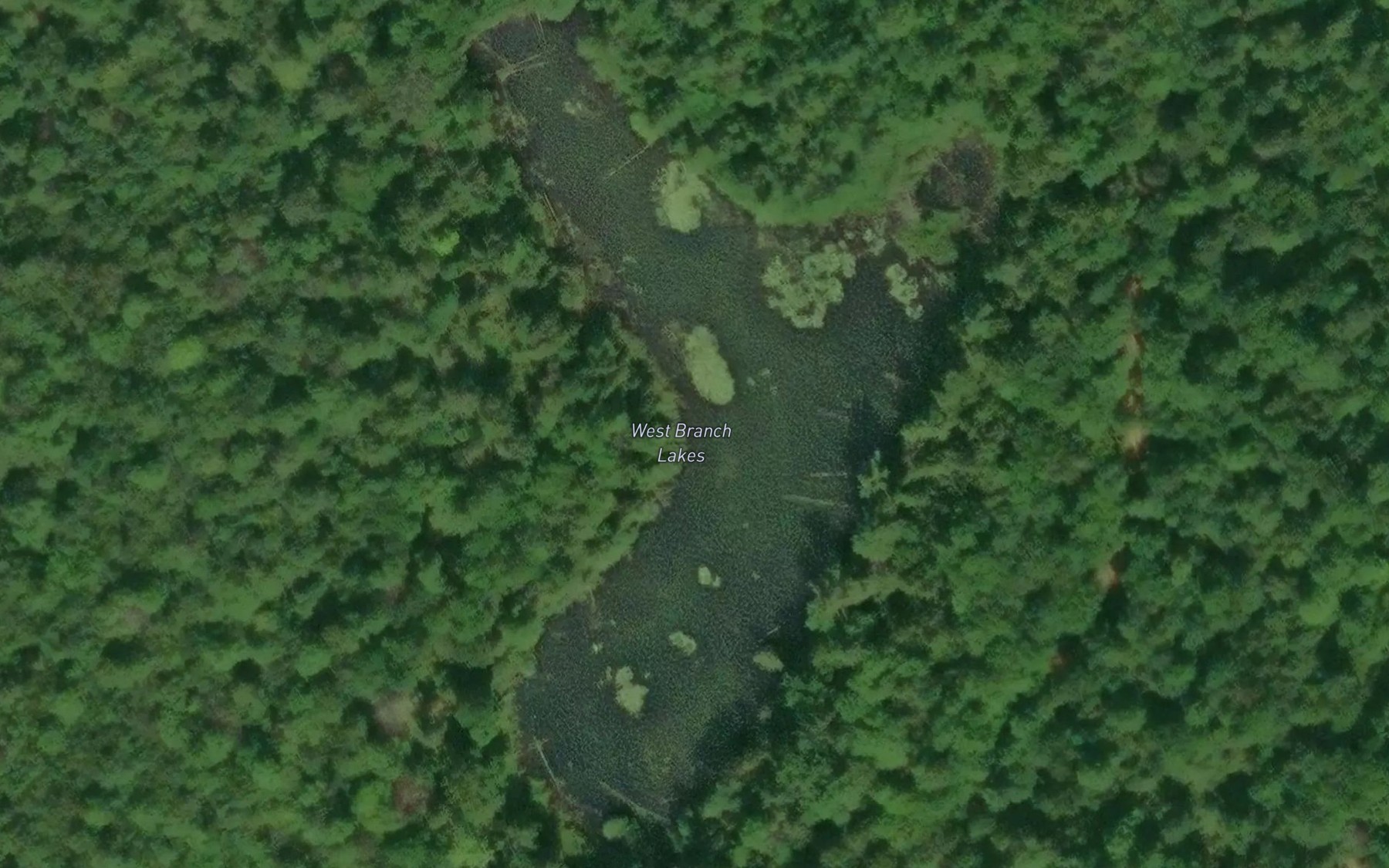 Satellite map of the West Branch Lakes