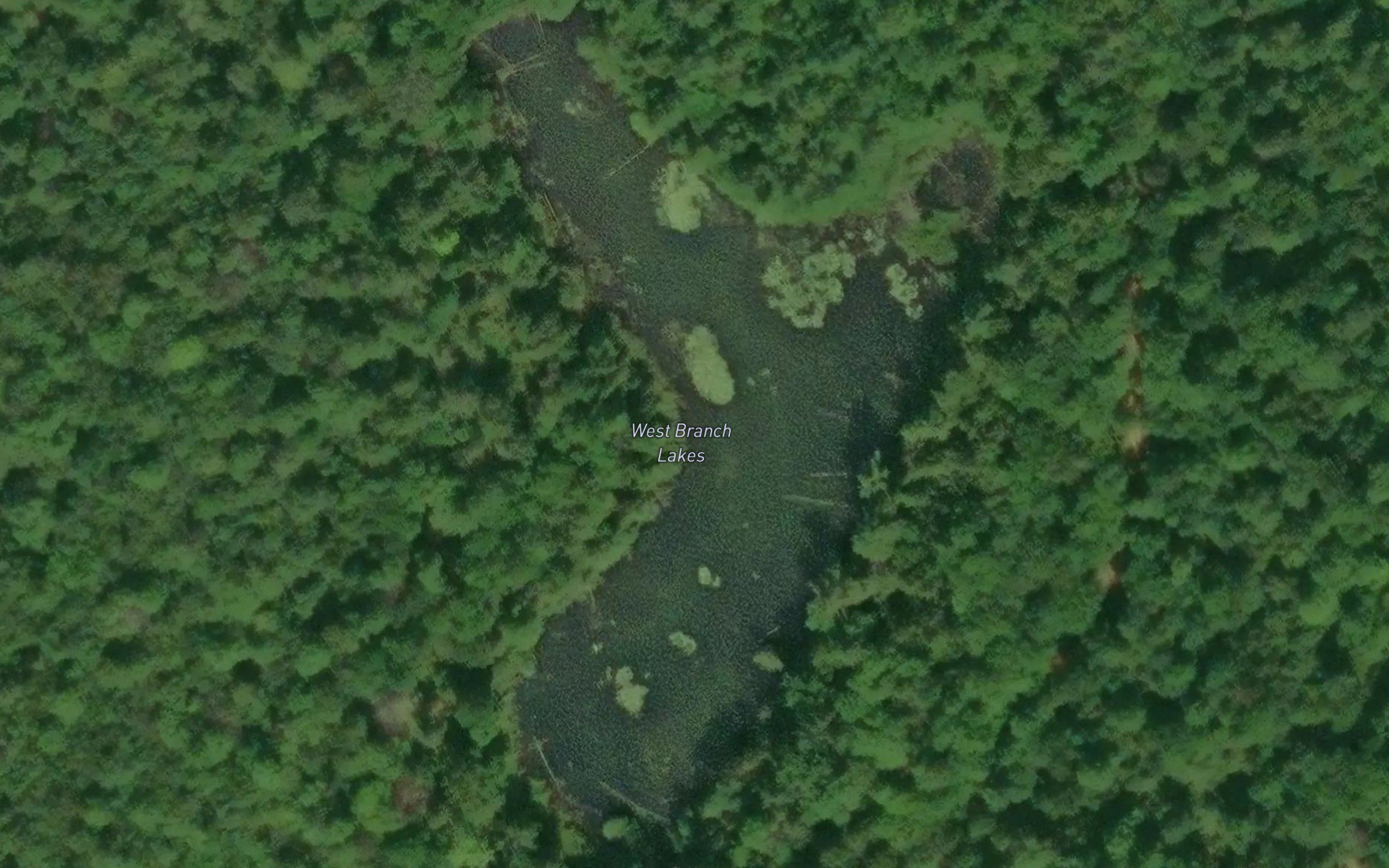 West Branch Lakes