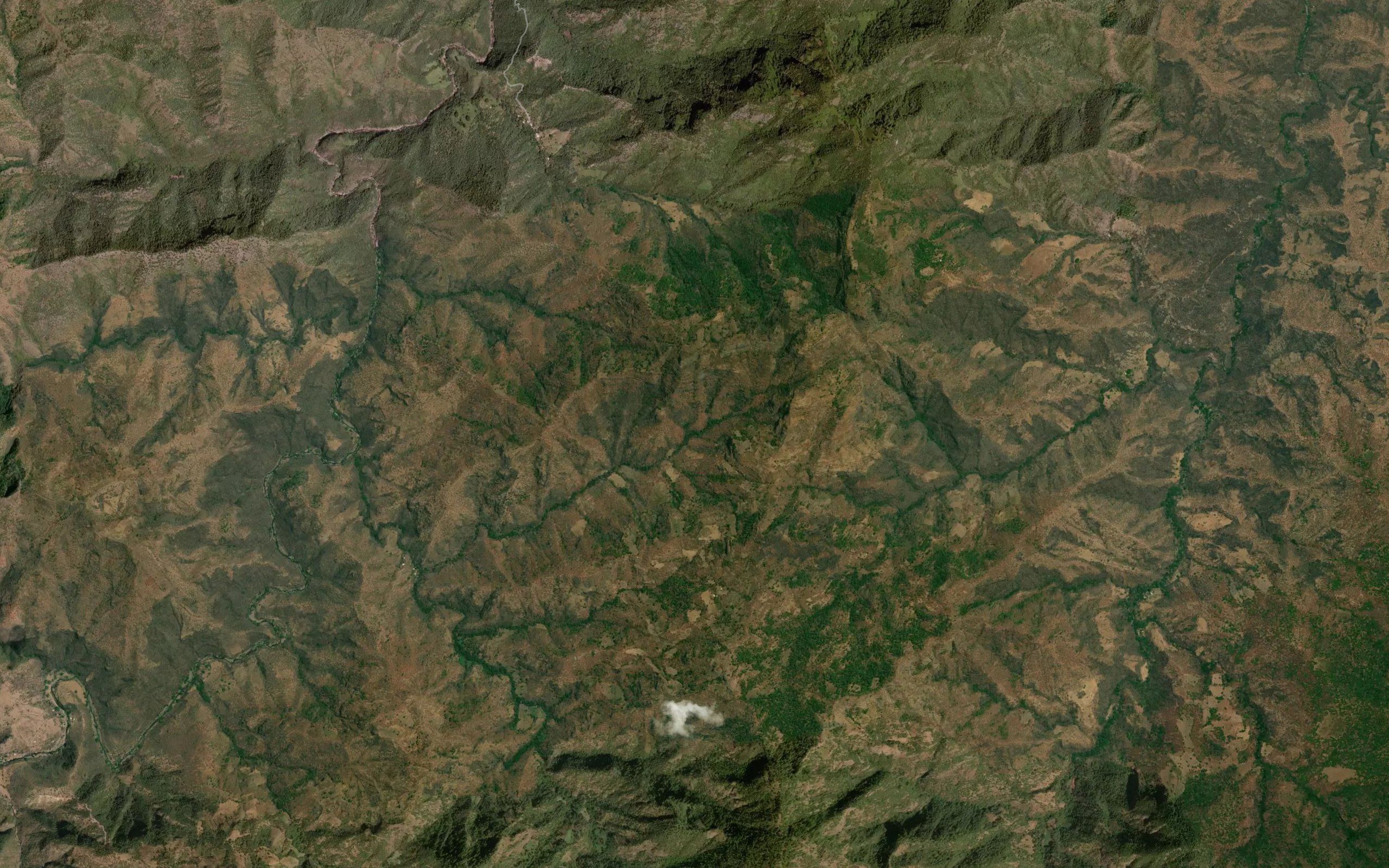 Barranca Tepasuajera