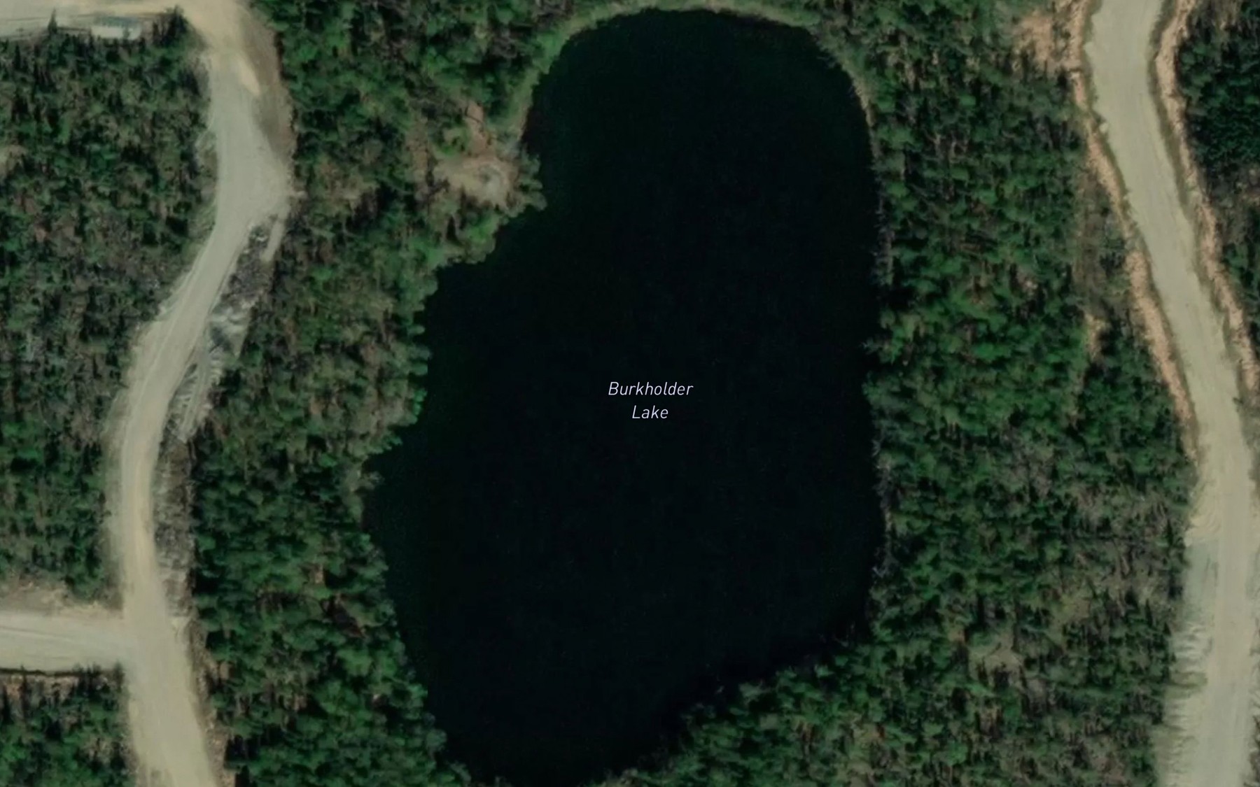 Satellite map of the Burkholder Lake