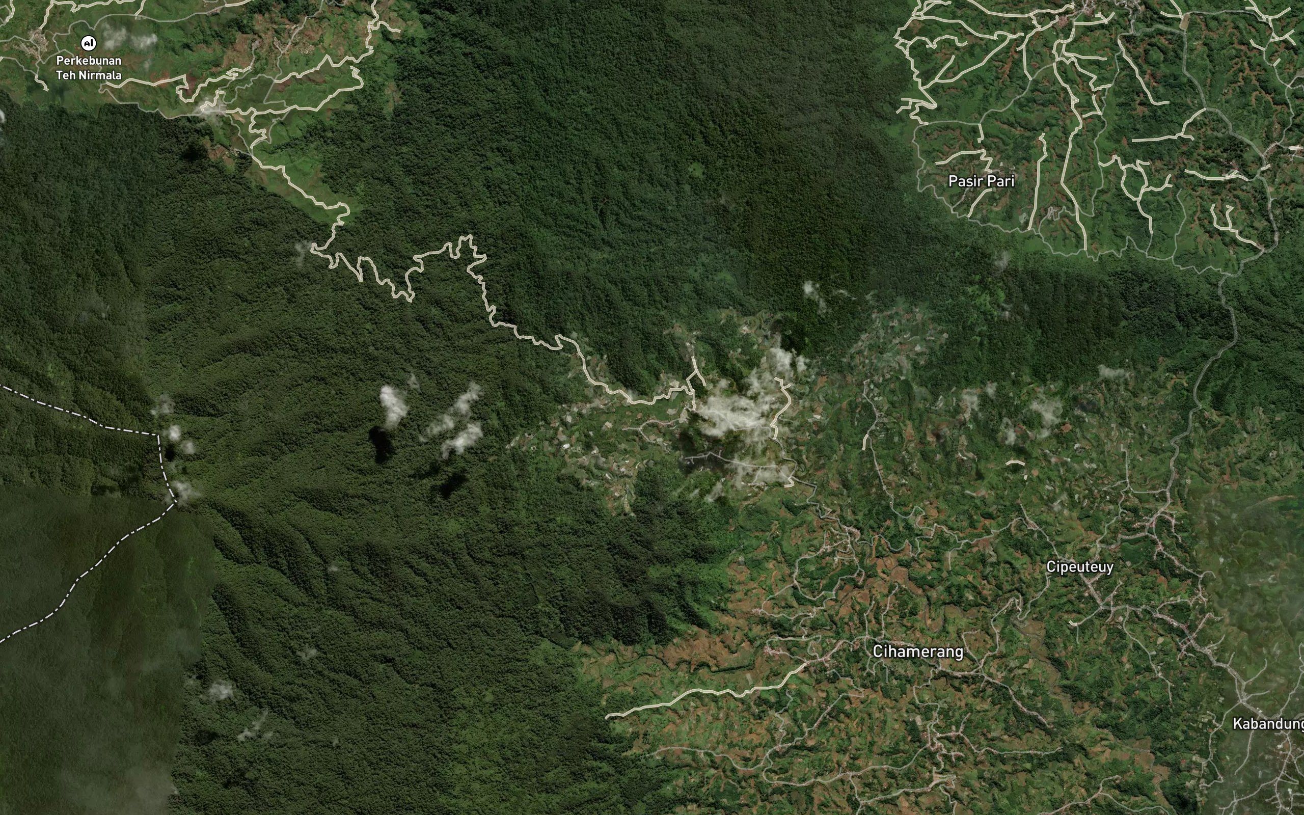Ci Tamiang