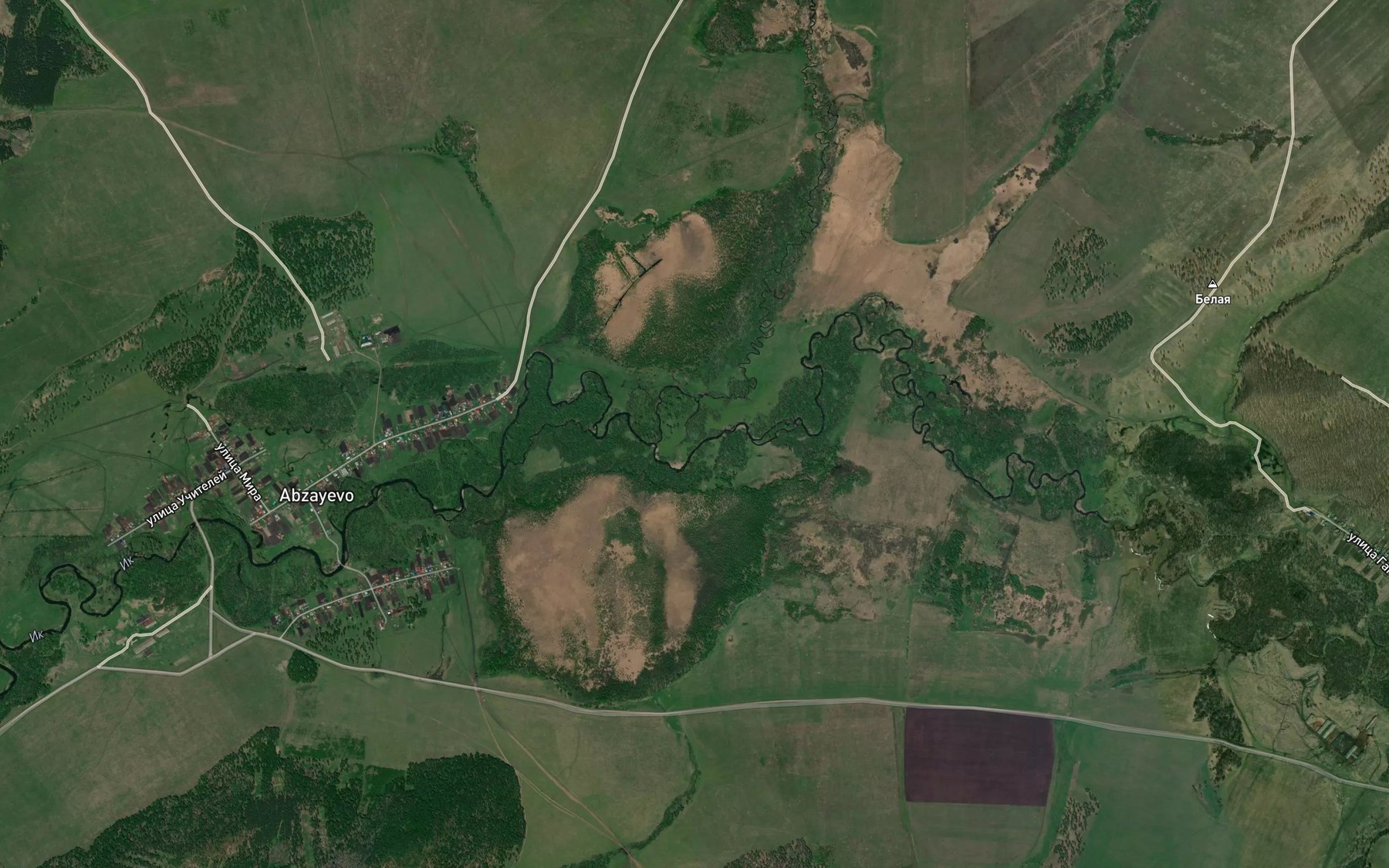 Satellite map of the Vaselga